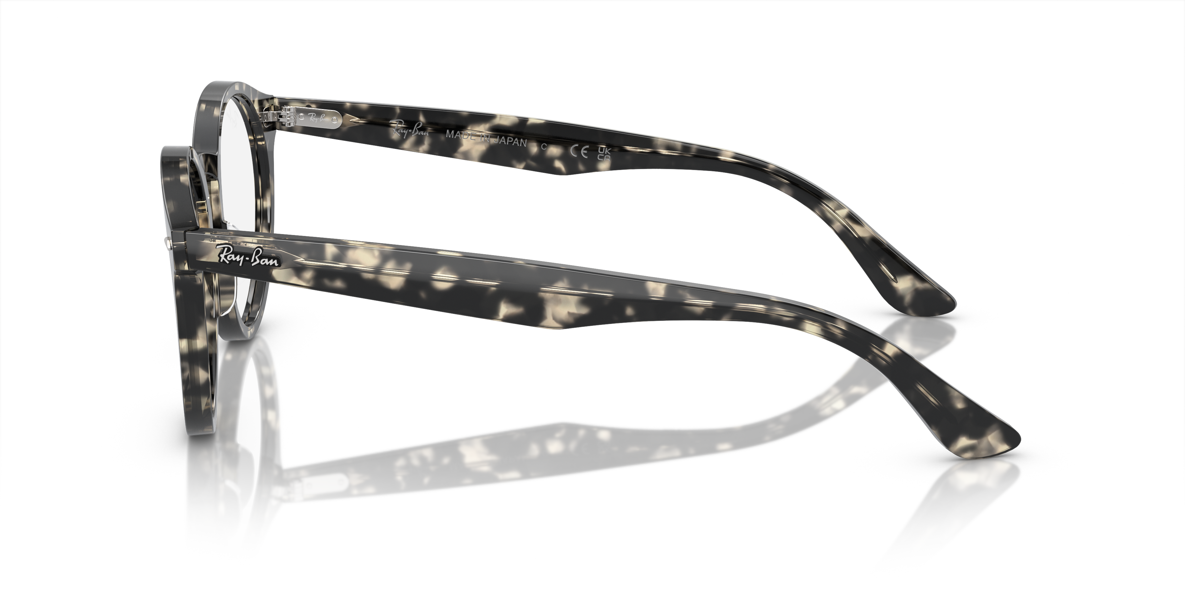 Ray-Ban RX7680V LARRY 8117