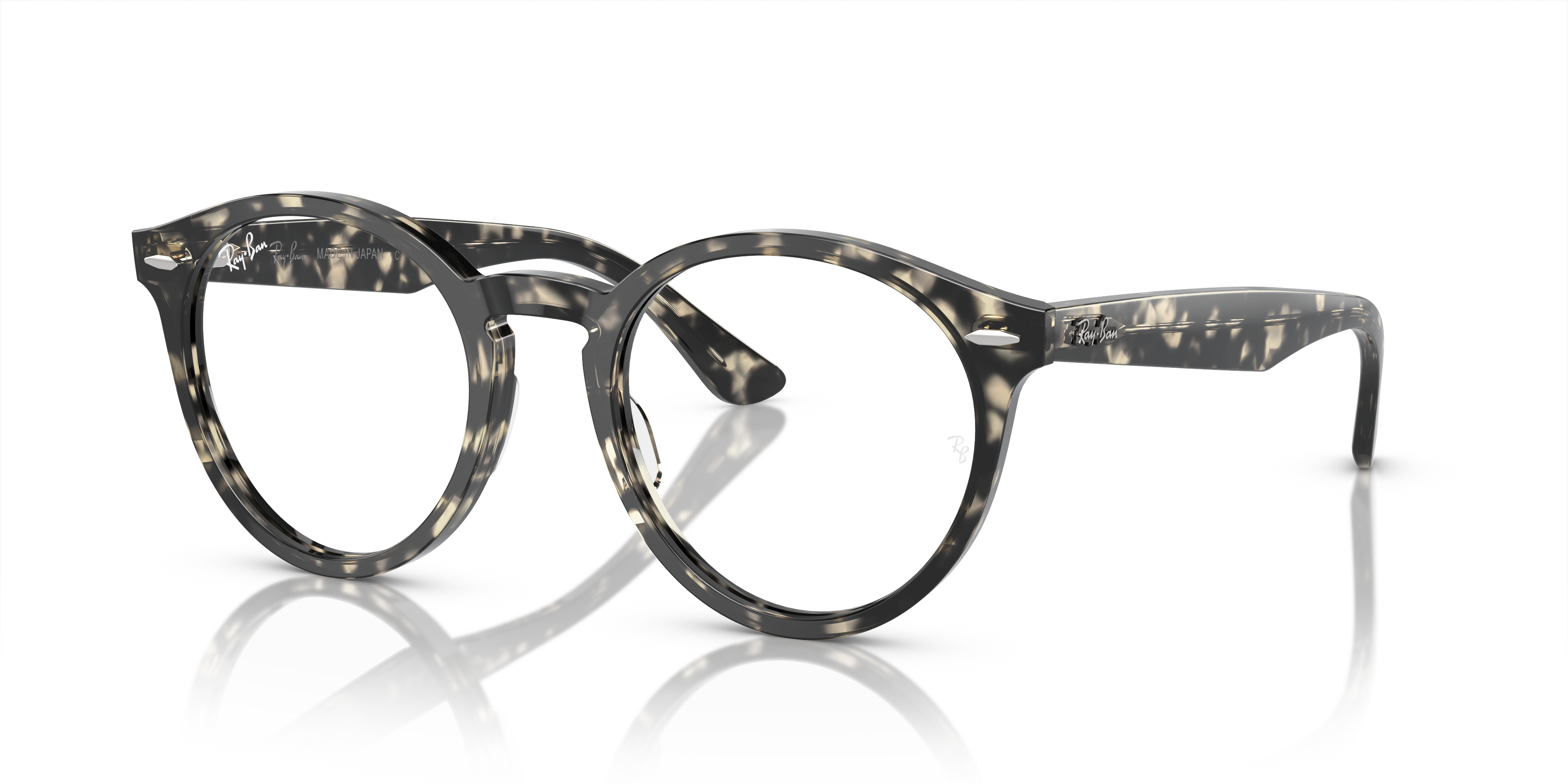 Ray-Ban RX7680V LARRY 8117