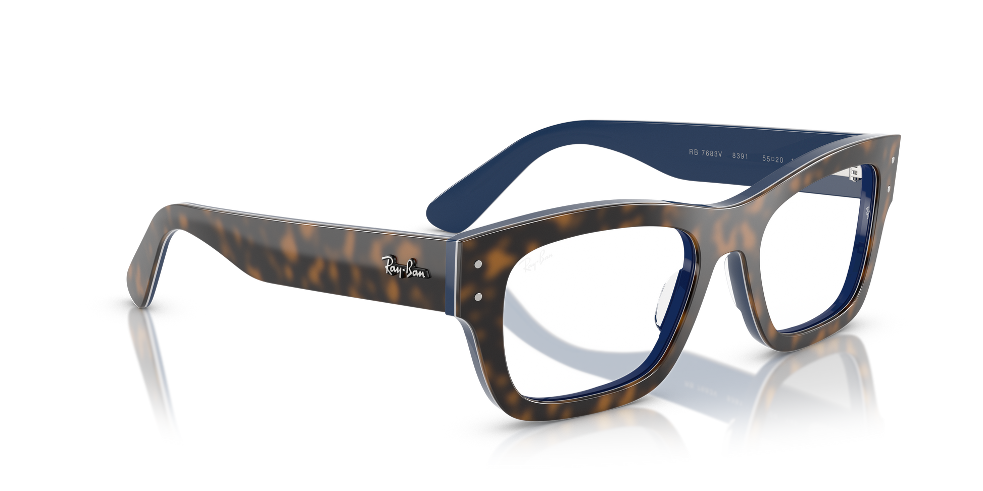 Ray-Ban Vista Joseph RX7683V 8391