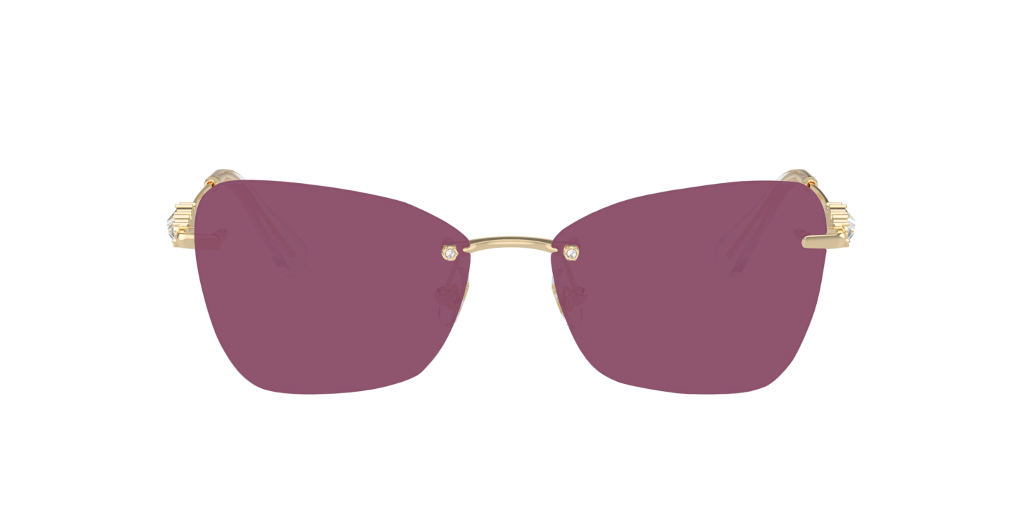 Swarovski SK1014 4013