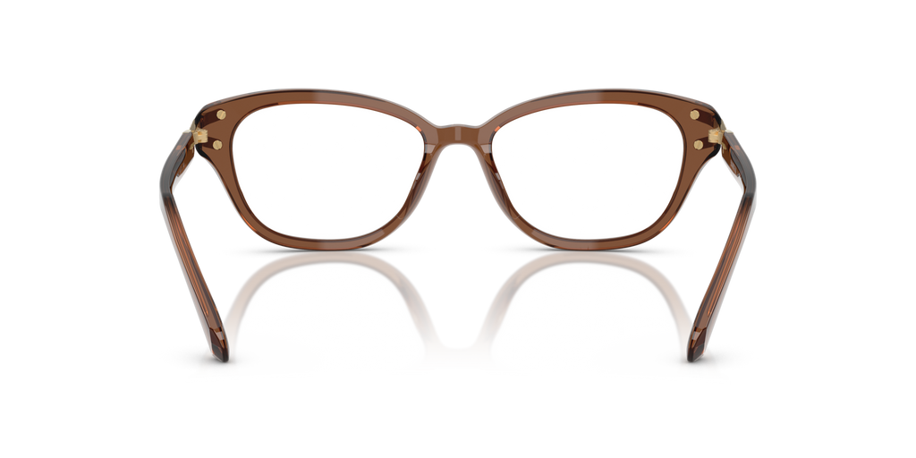 Swarovski SK2032 1067 Transparent Brown Eyeglasses for Woman  display picture 2