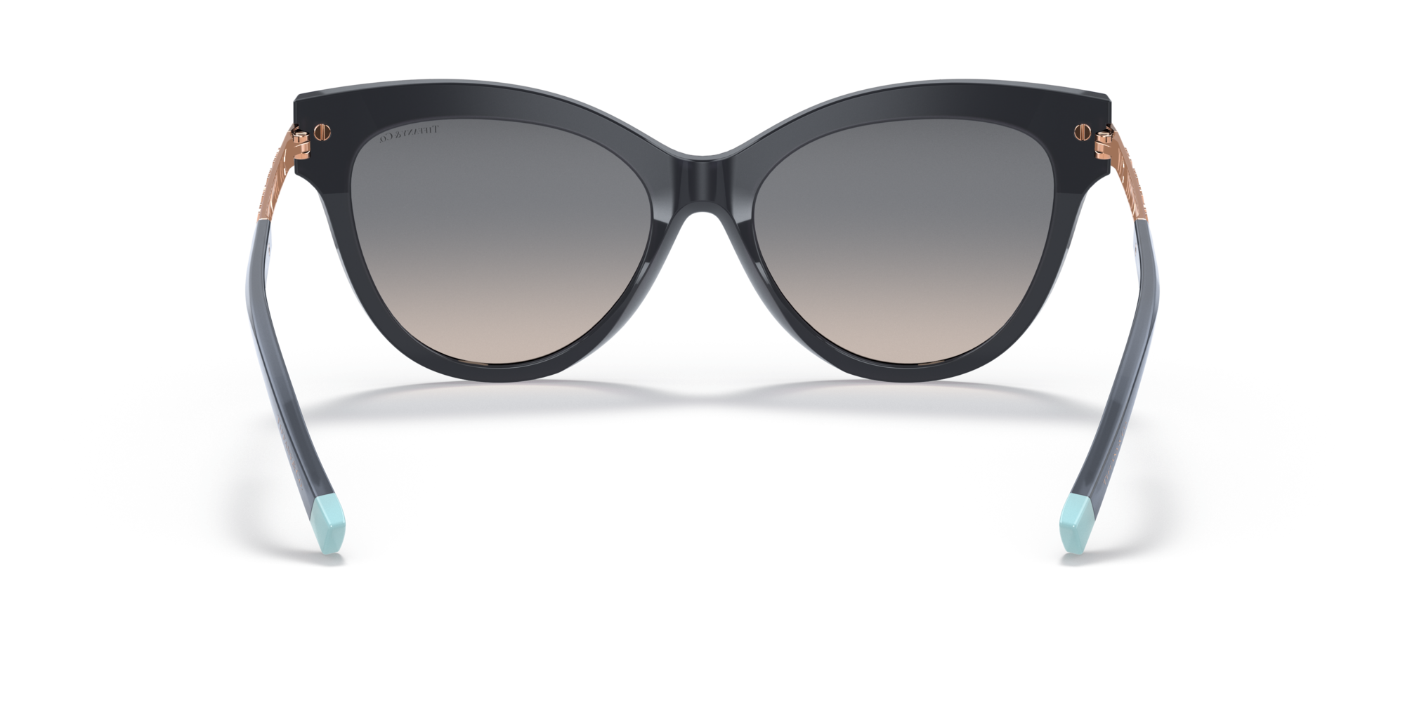 Tiffany TF4182 82831U 55