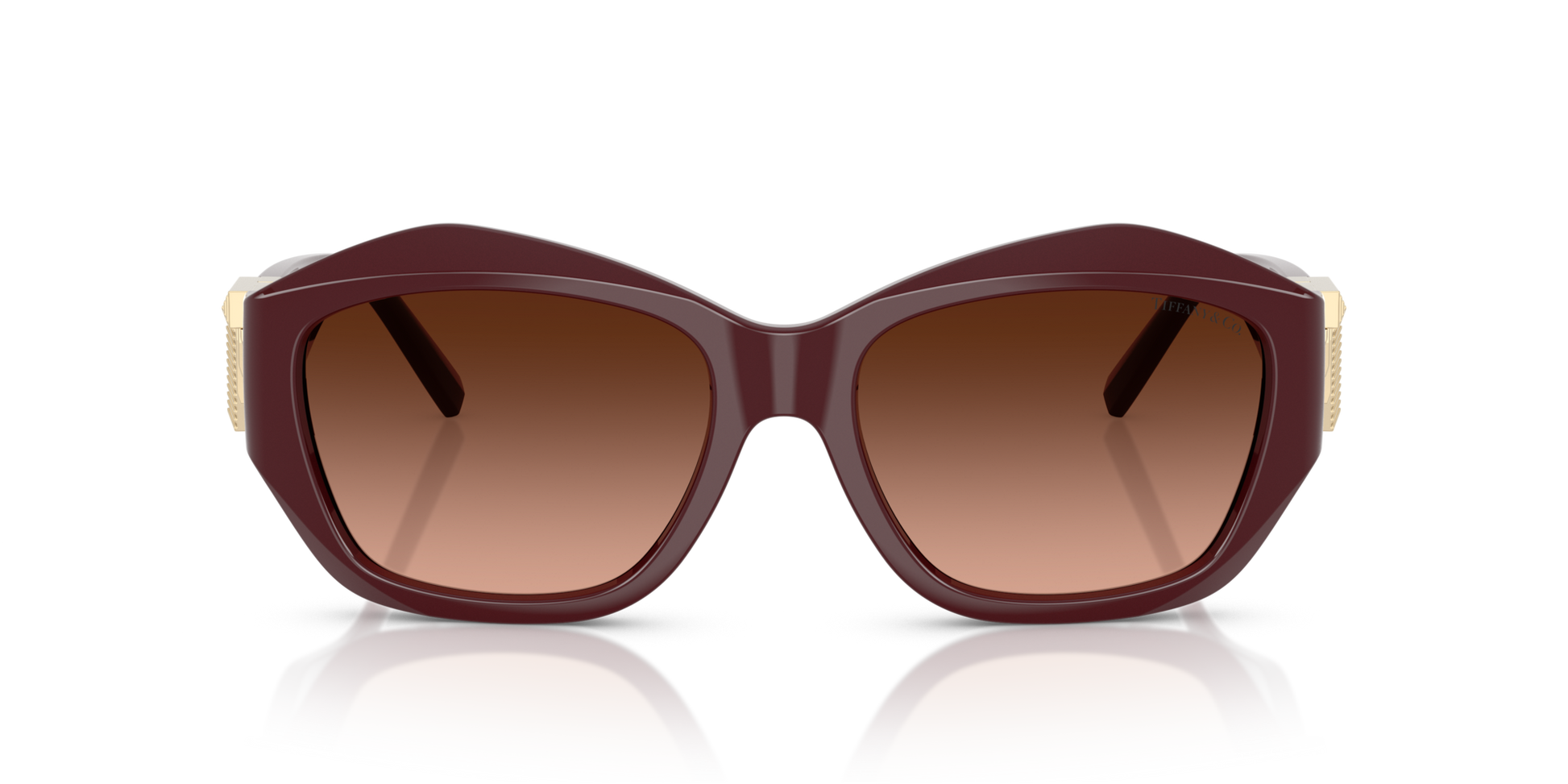 Tiffany TF4233U 83895M 54