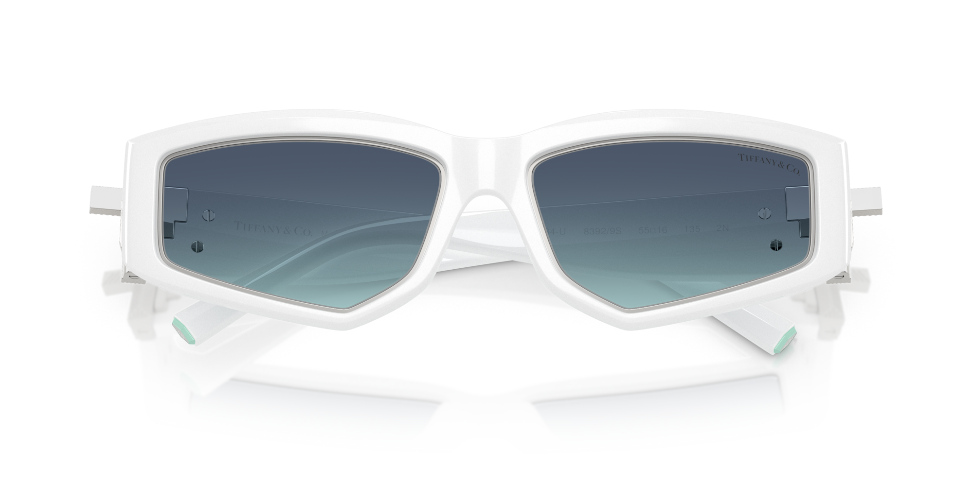 Tiffany TF4234U 83929S 55