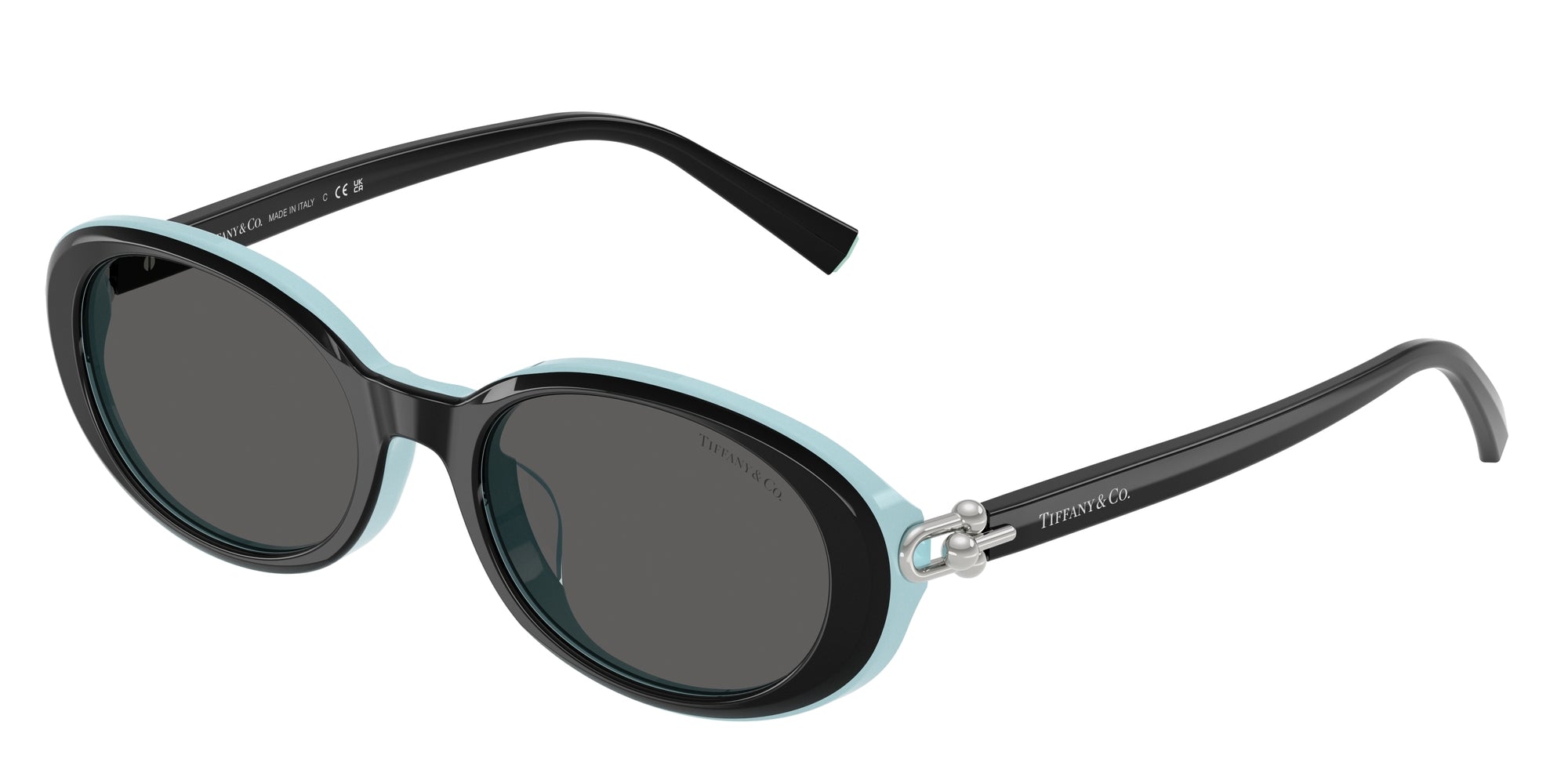 【新品】ティファニー サングラス （0TF4242D-8055S4）サイズ54 Tiffany TF4242D 8055S4 Black On Tiffany Blue Sunglasses for