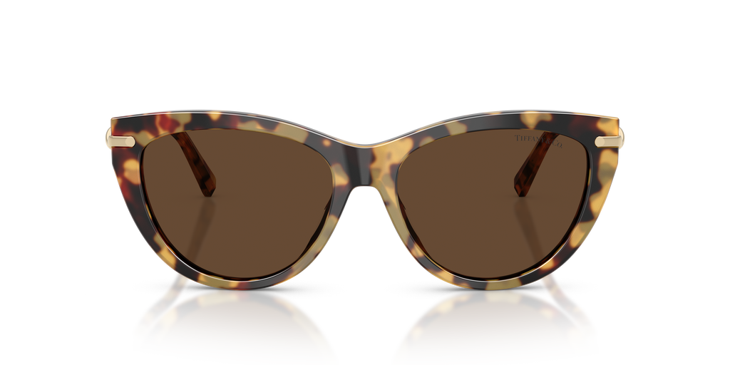 Tiffany TF4253 80643G - Sunglasses for Woman - LookerOnline