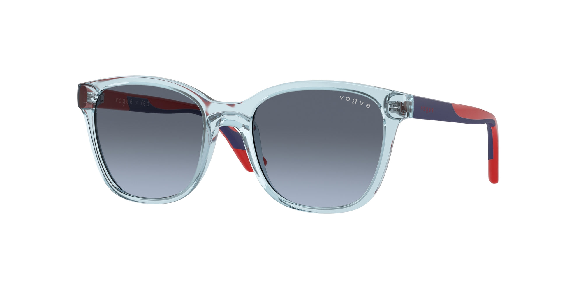 Vogue Eyewear VJ2019 25828F 48