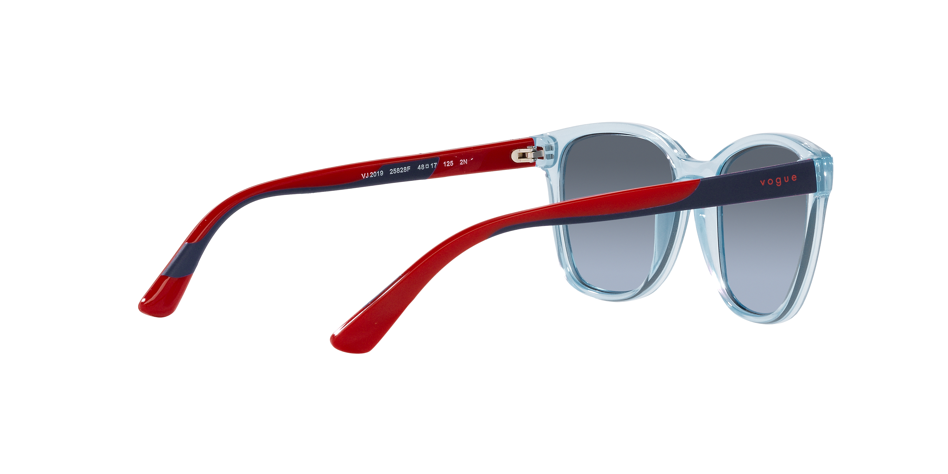 Vogue Eyewear VJ2019 25828F 48