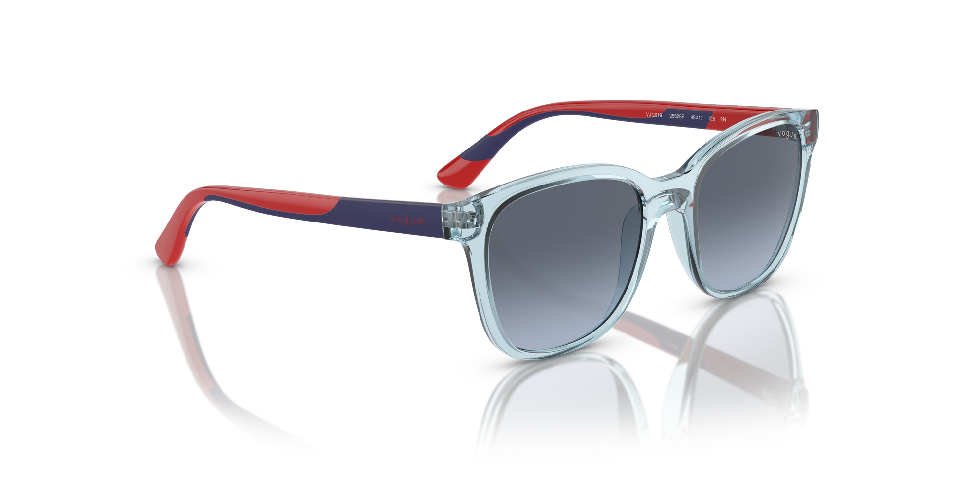 Vogue Eyewear VJ2019 25828F 48