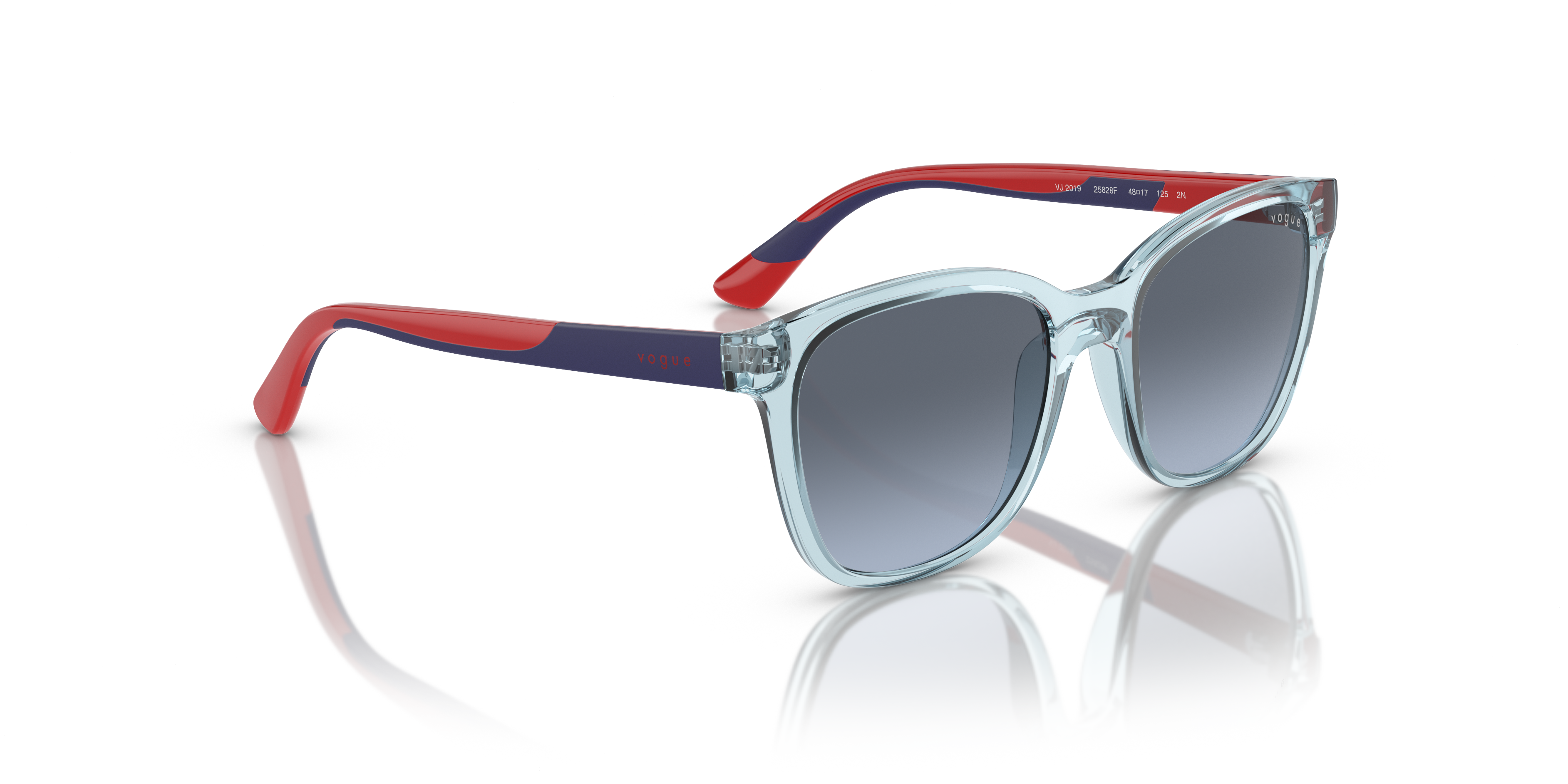 Vogue Eyewear VJ2019 25828F 48