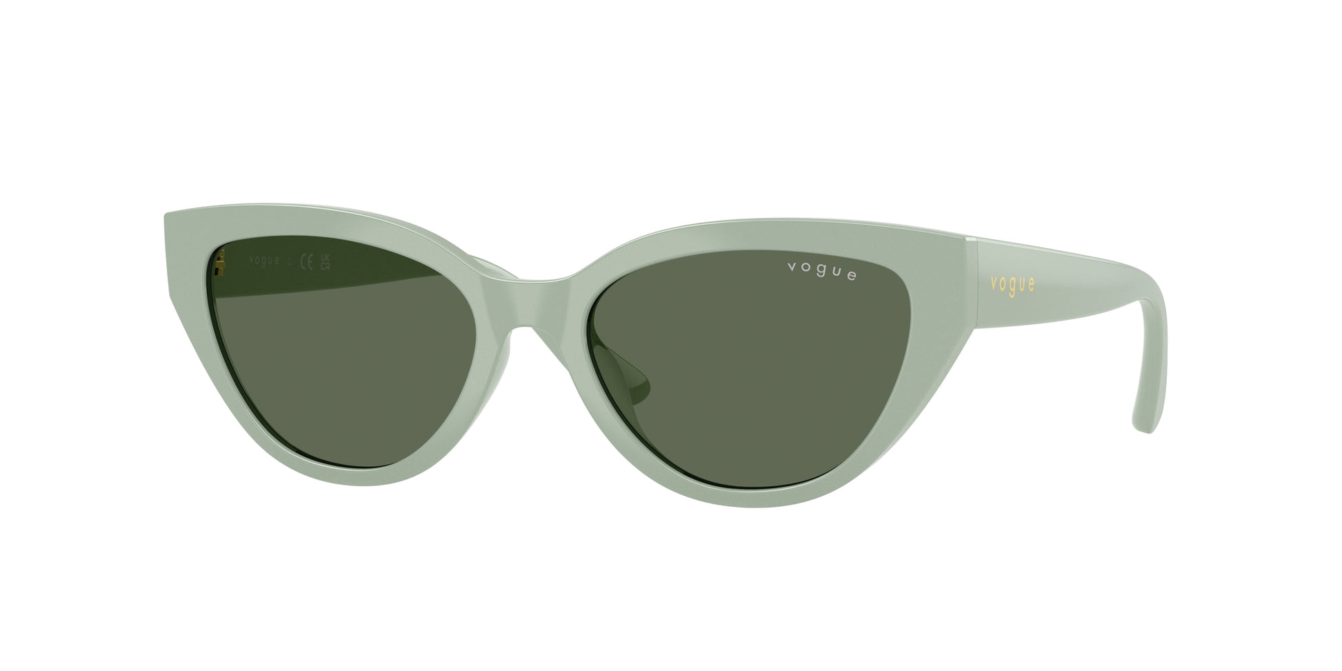 Vogue Eyewear VJ2026 318371 50