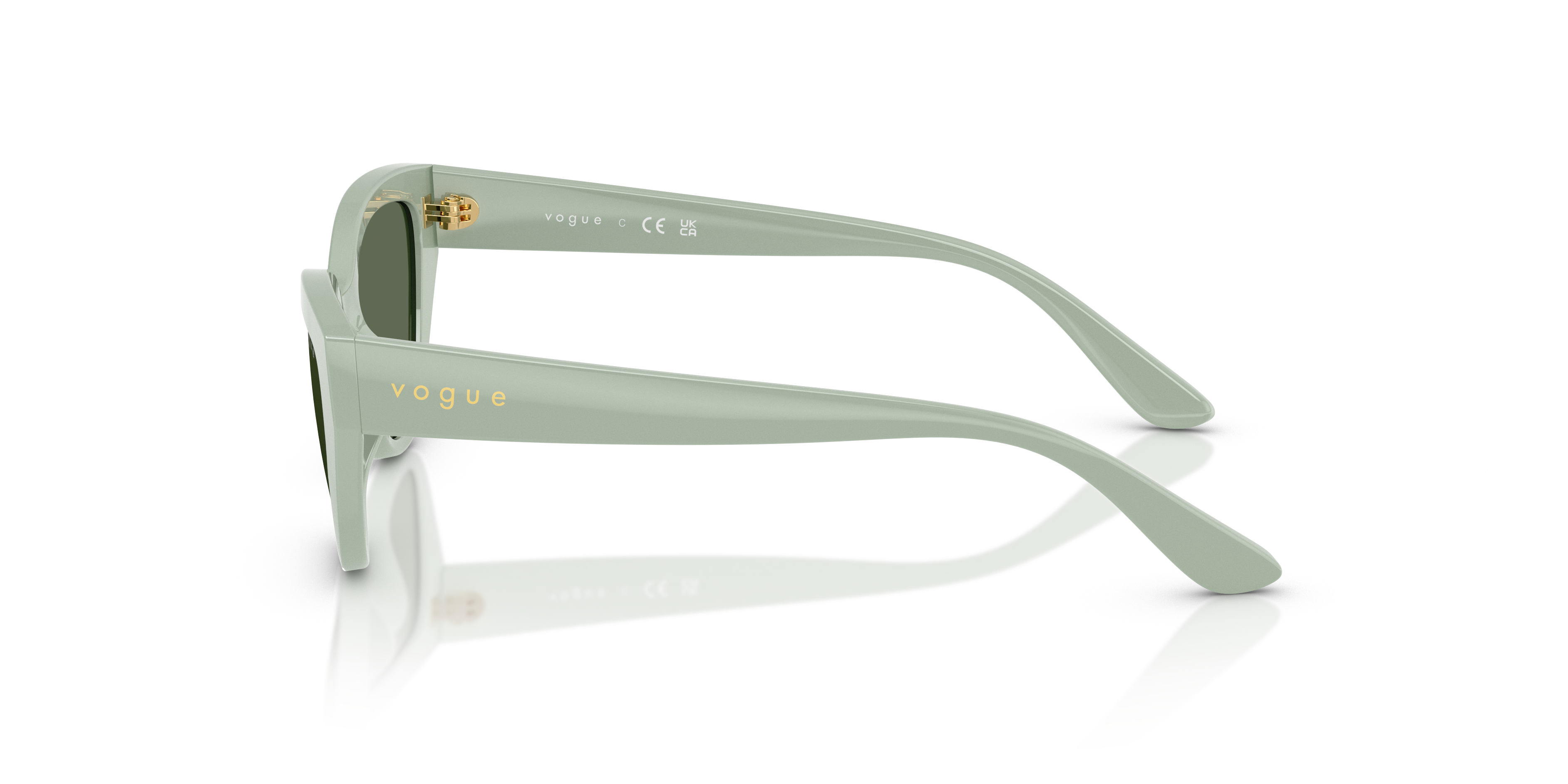 Vogue Eyewear VJ2026 318371 50