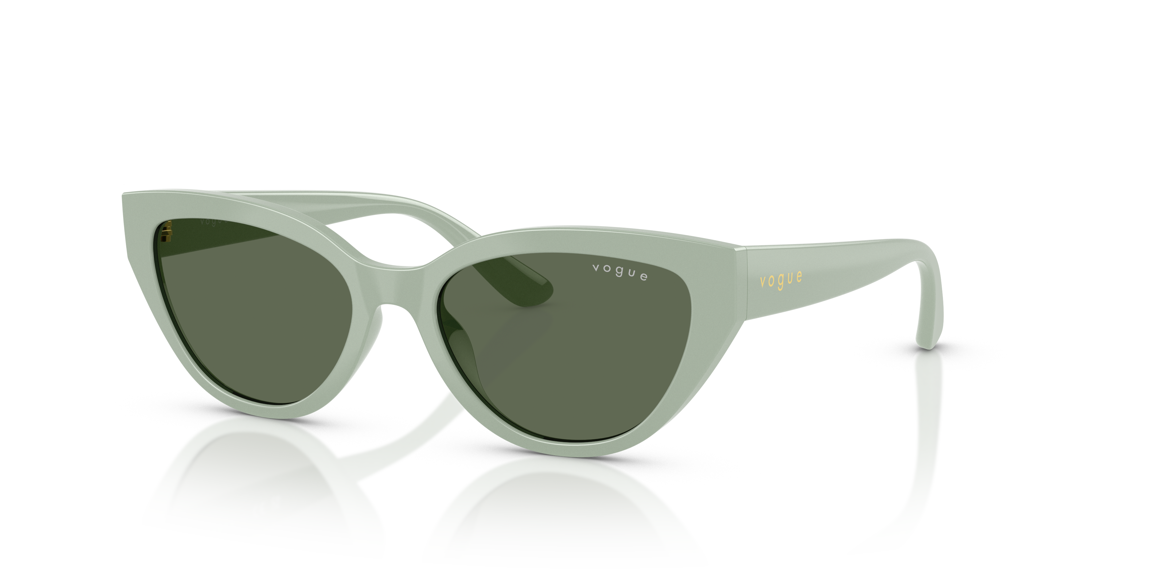 Vogue Eyewear VJ2026 318371 50