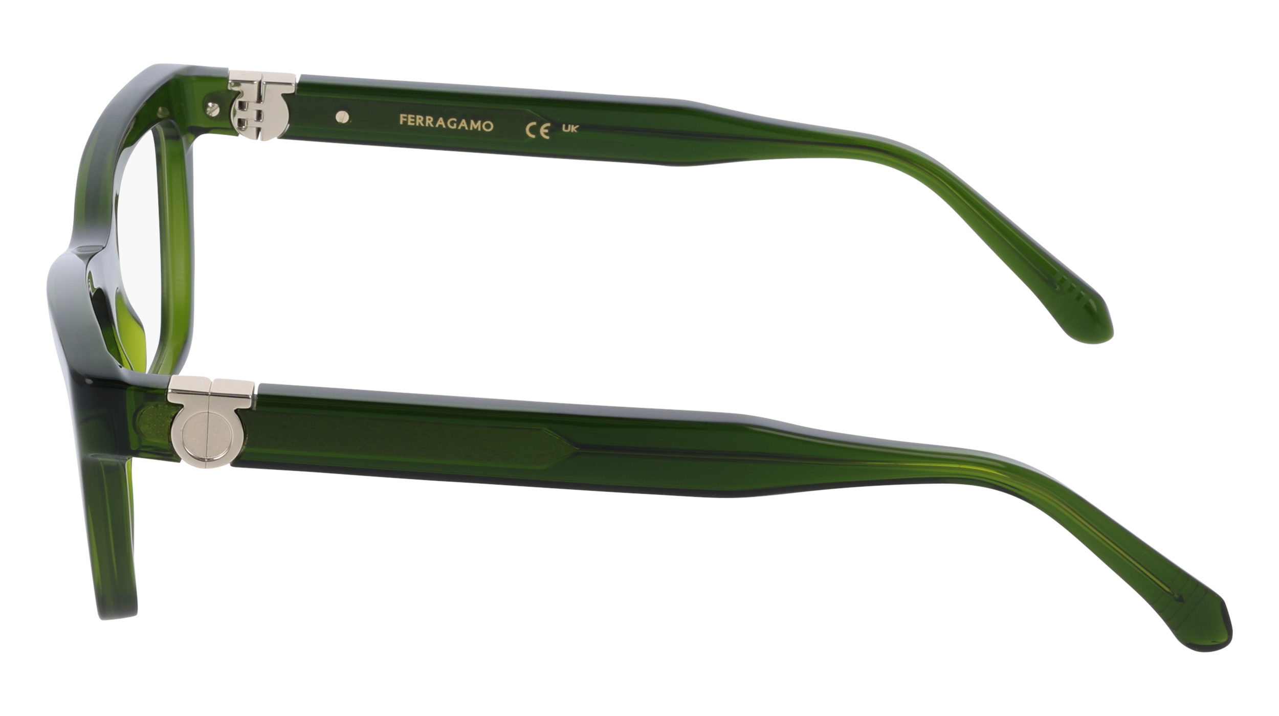 Ferragamo SF3021 317