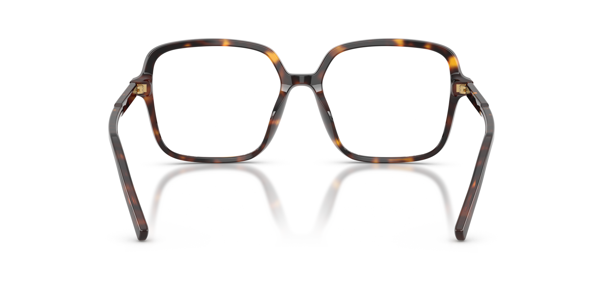 Dolce & Gabbana DG3442 502