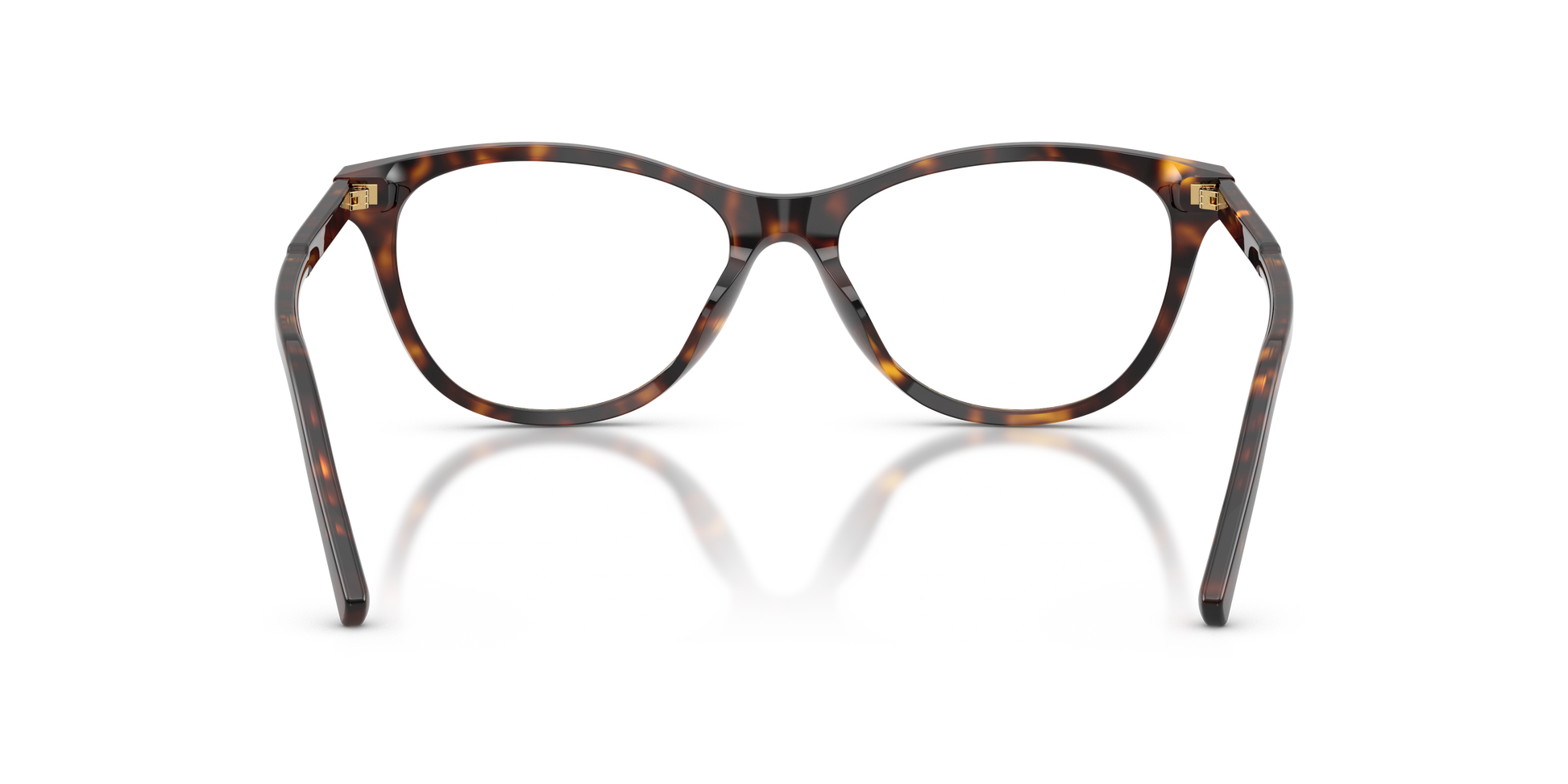 Dolce & Gabbana DG3443 502