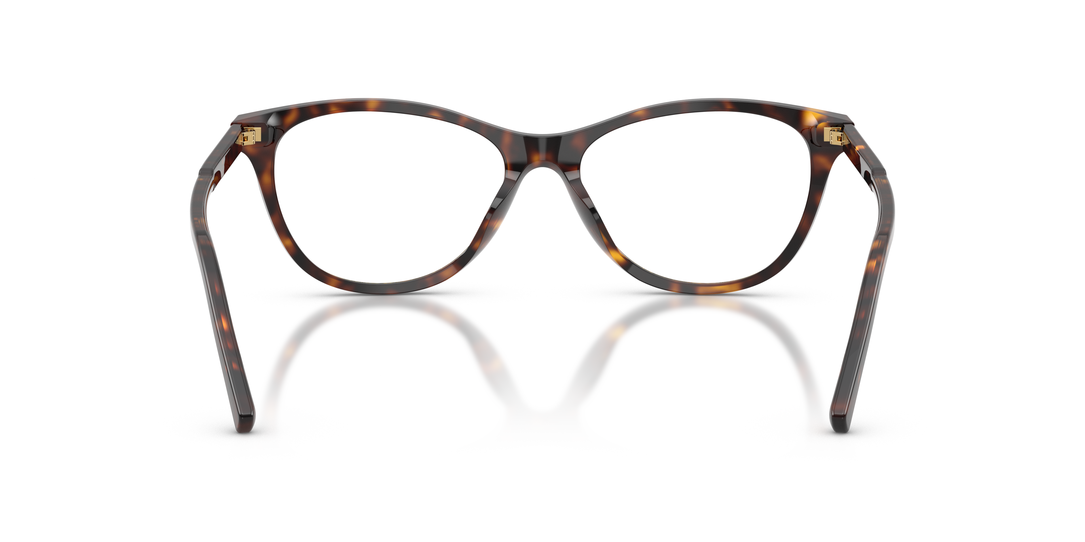 Dolce & Gabbana DG3443 502