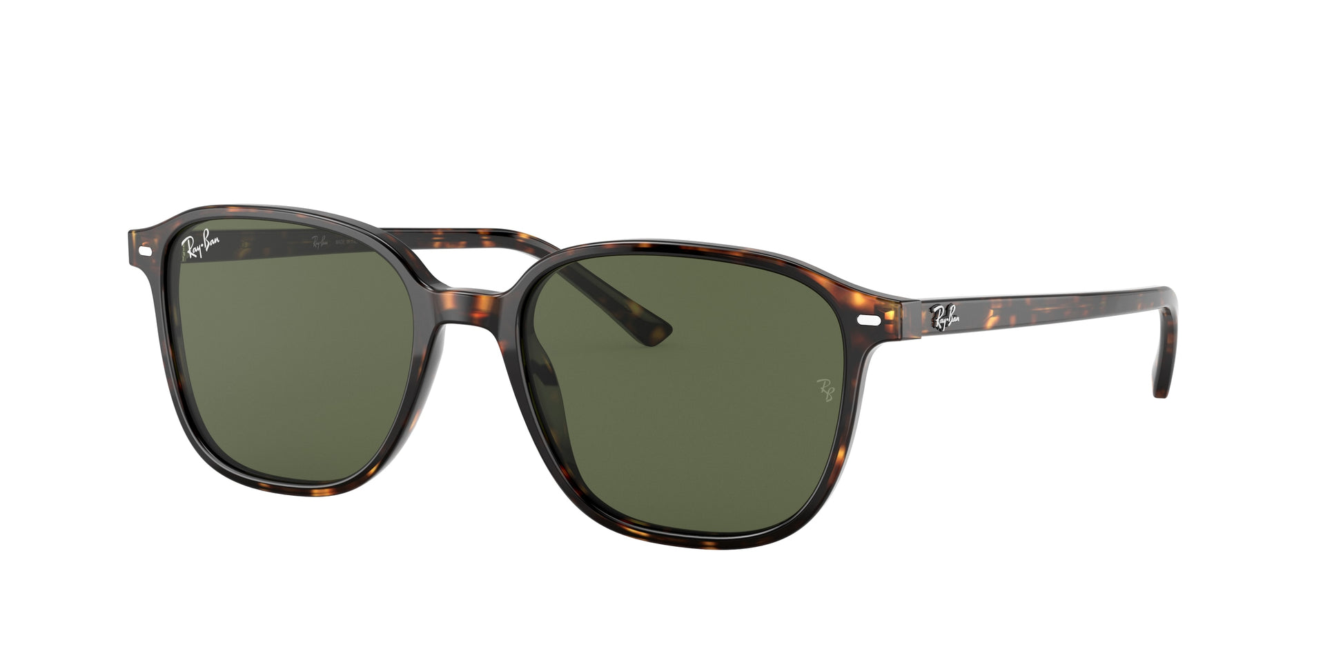 Ray-Ban RB2193 LEONARD 902/31
