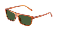 Dolce & Gabbana Kids DX4009 348371
