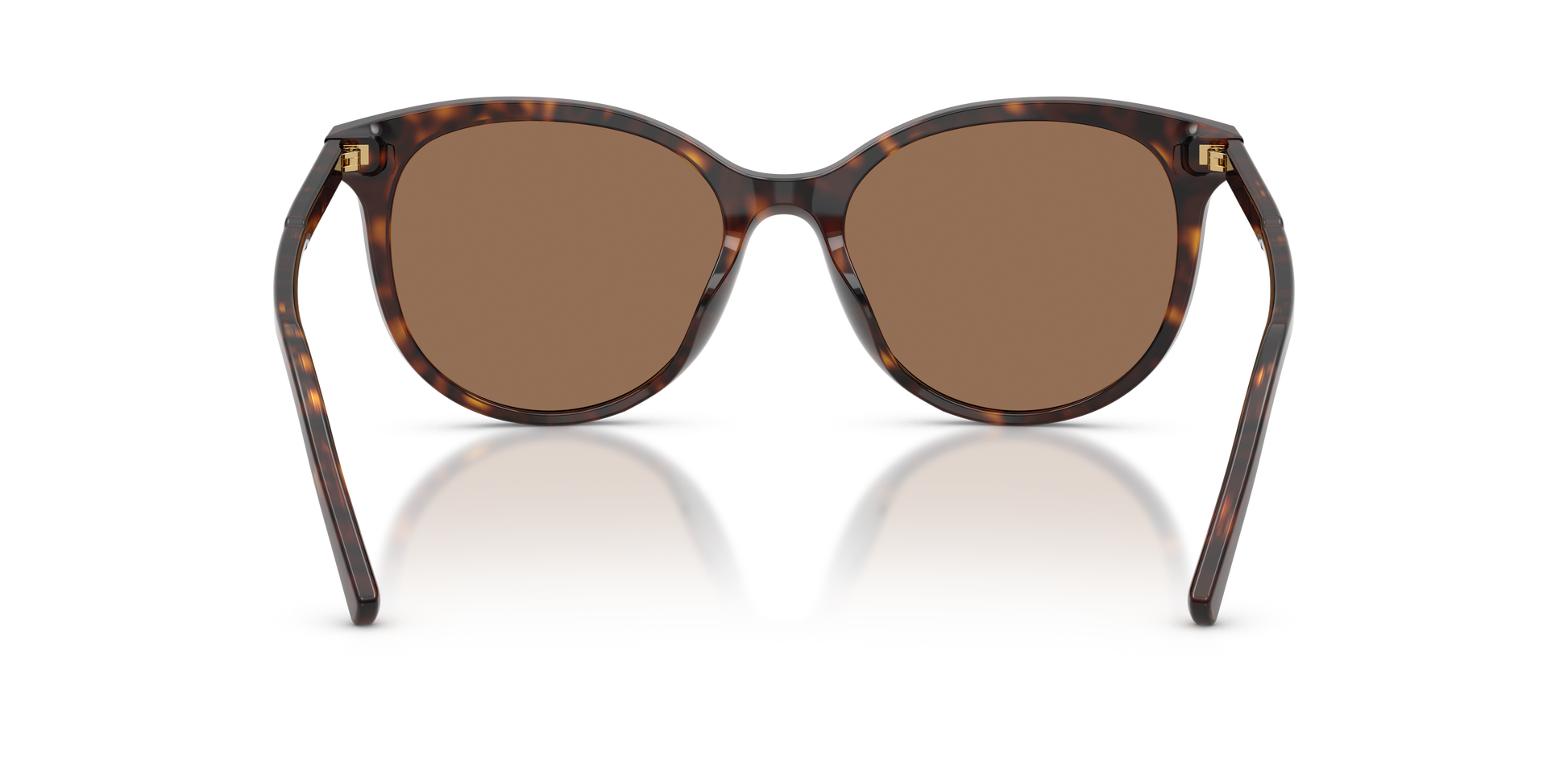 Dolce & Gabbana DG4540 502/13