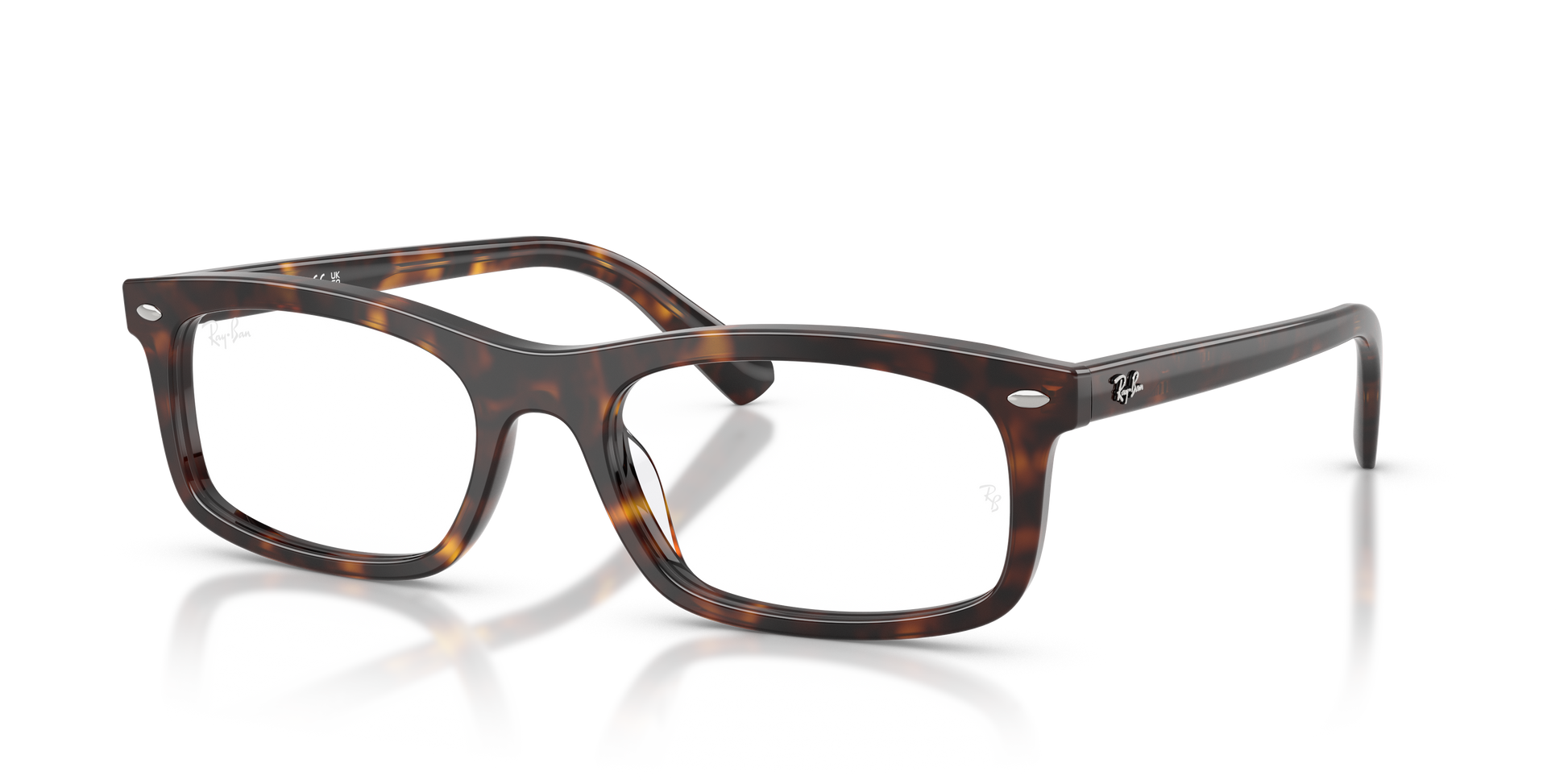 Ray-Ban RX5450 2012