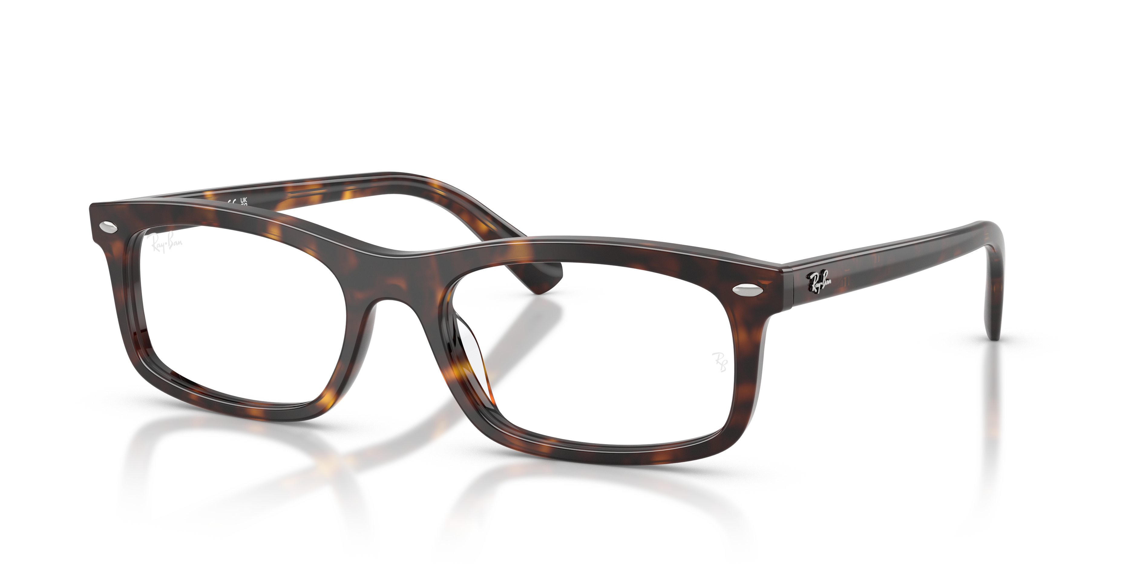 Ray-Ban RX5450 2012