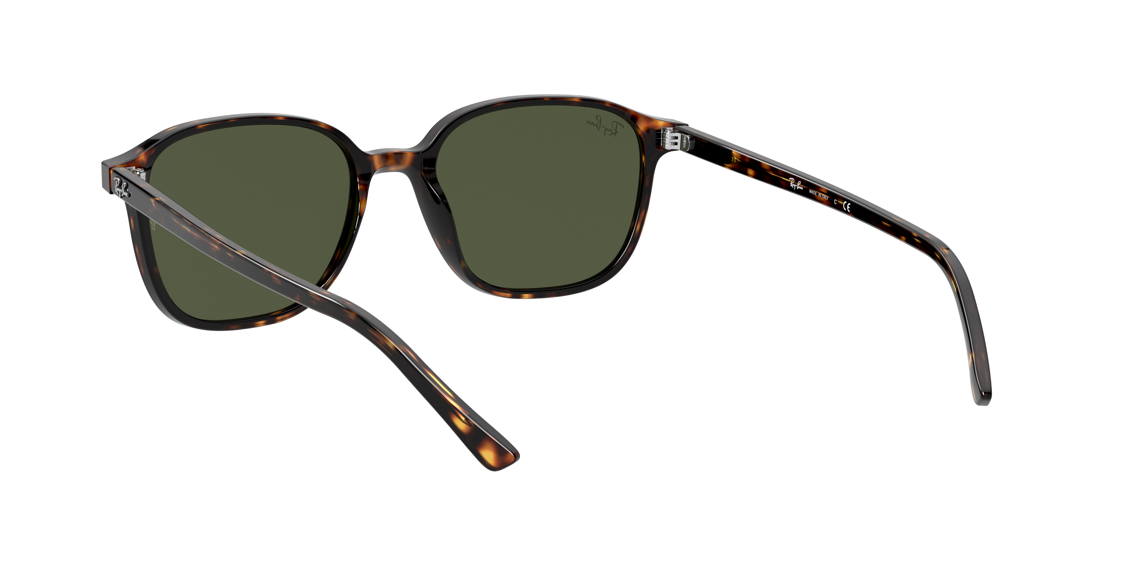 Ray-Ban RB2193 LEONARD 902/31