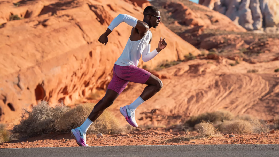 Carrrera 298/S Sunglasses - Dark Havana/Dark Grey Shaded Men's Eyewear