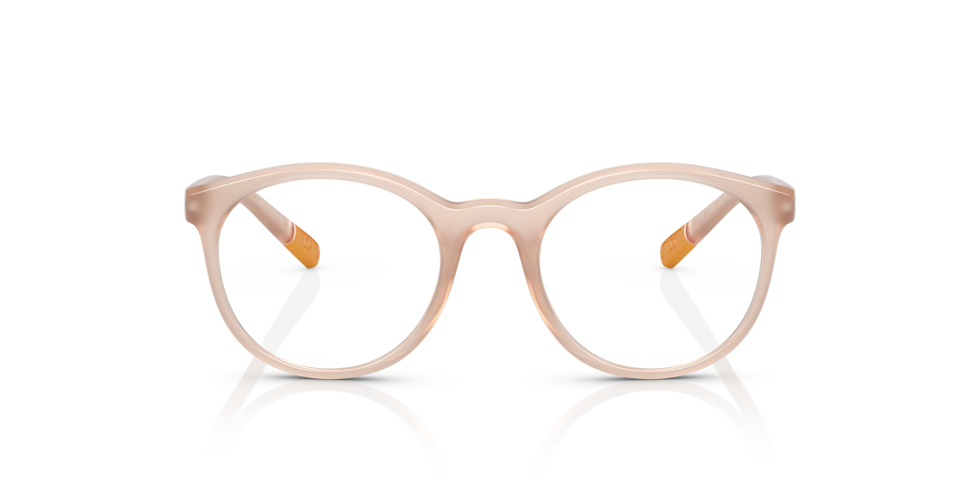 Dolce & Gabbana DX5095 3041