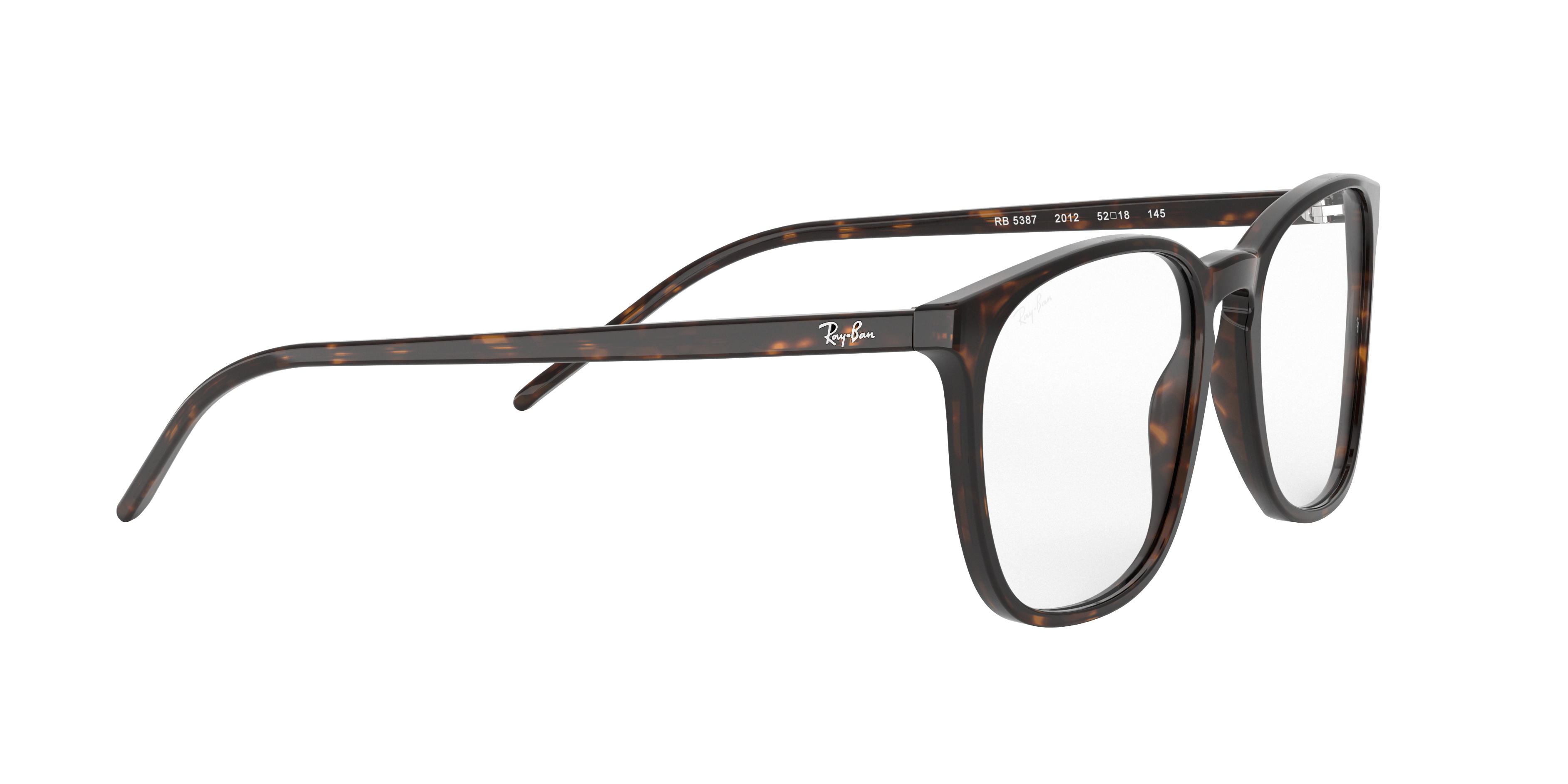 Ray-Ban RX5387 2012