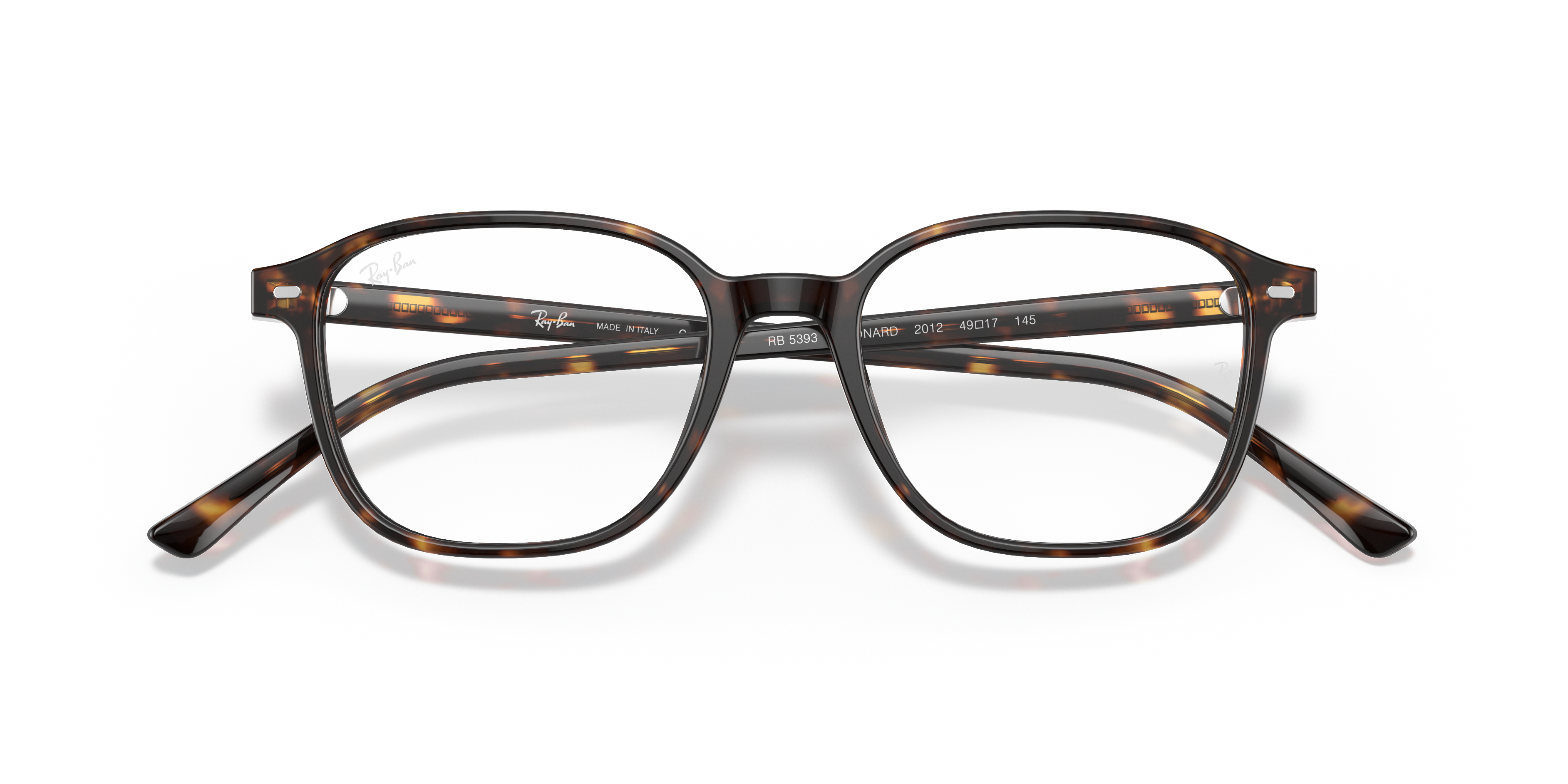 Ray-Ban RX5393 LEONARD 2012