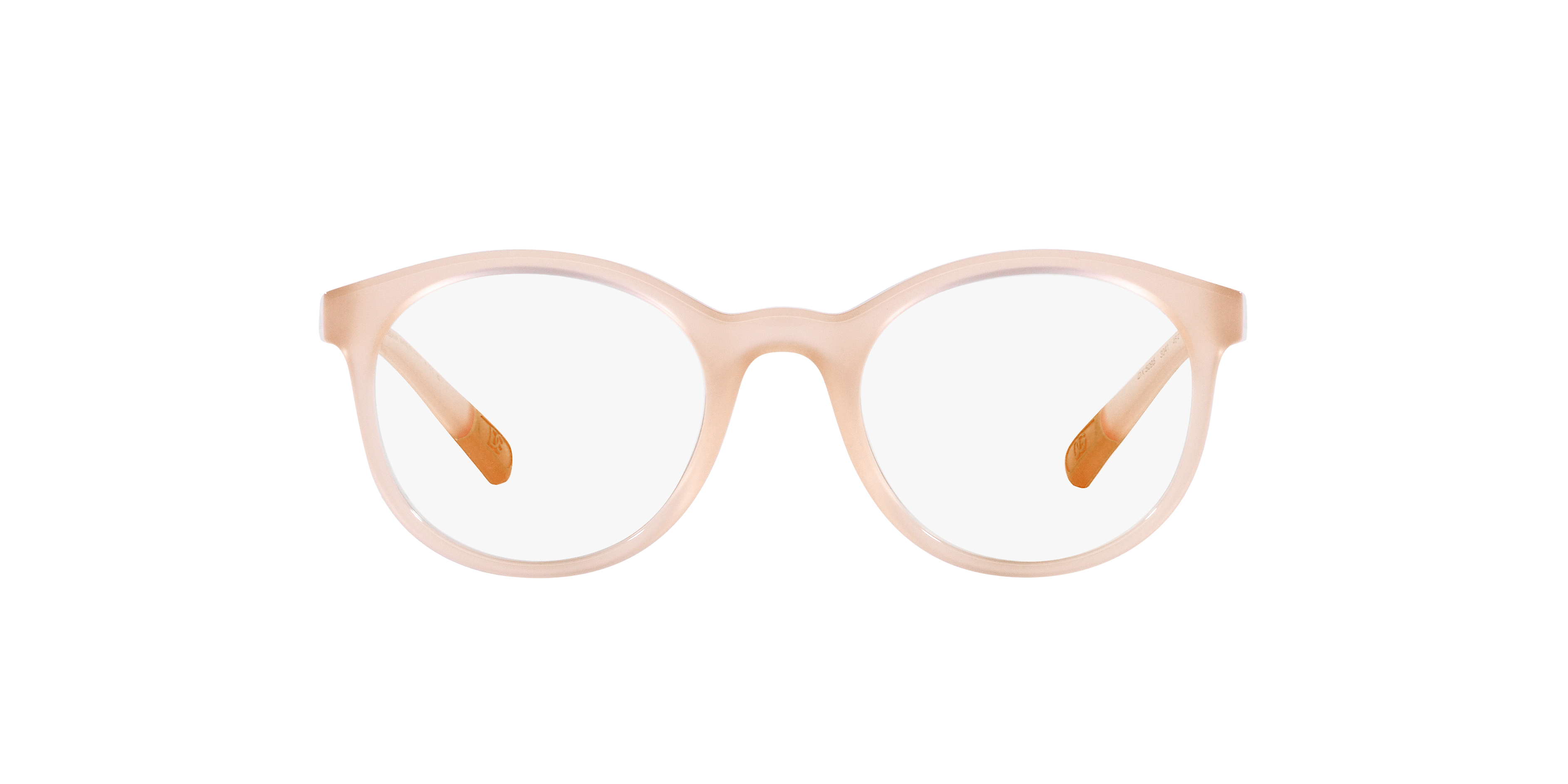 Dolce & Gabbana DX5095 3041
