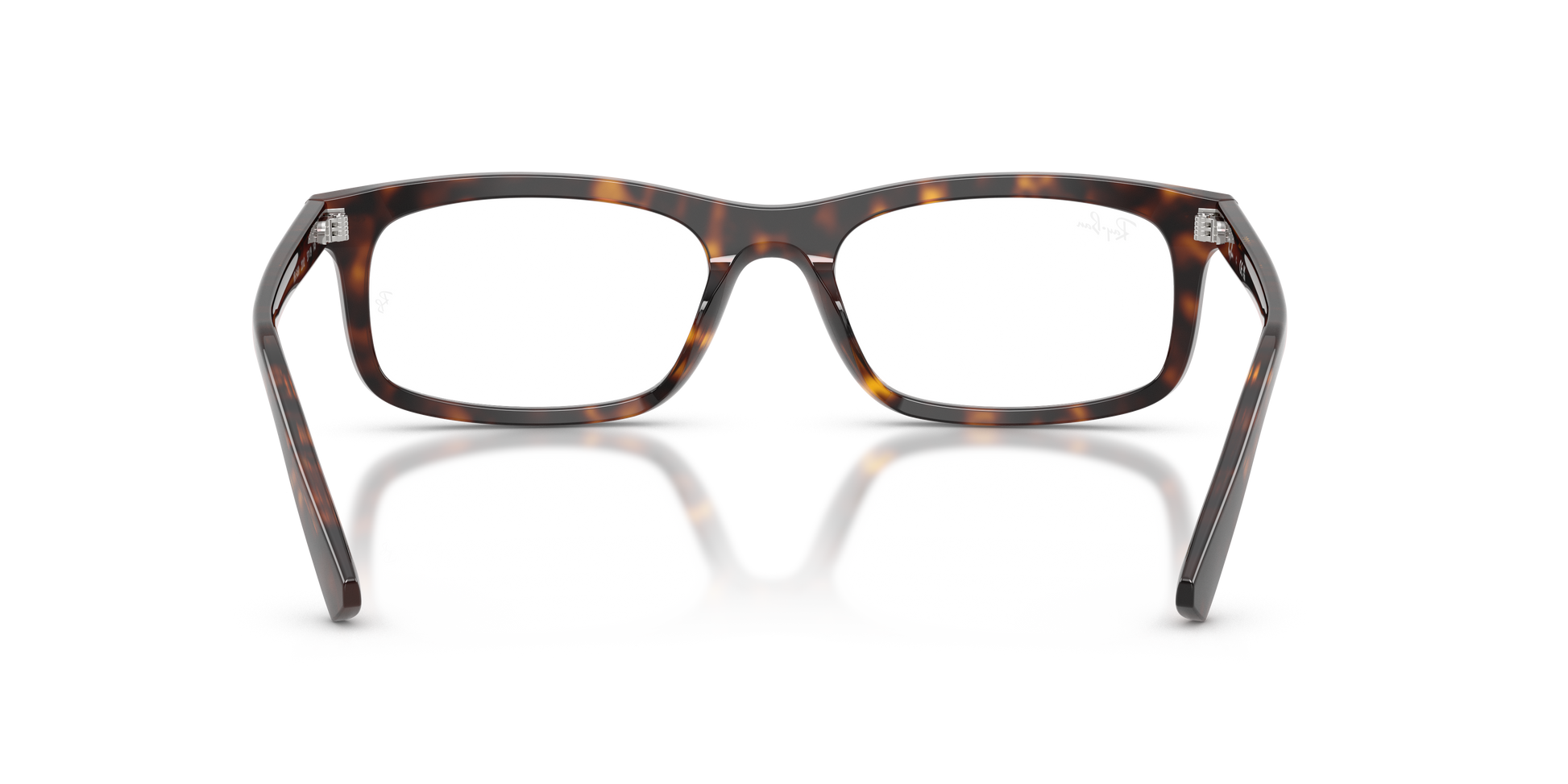 Ray-Ban RX5450 2012