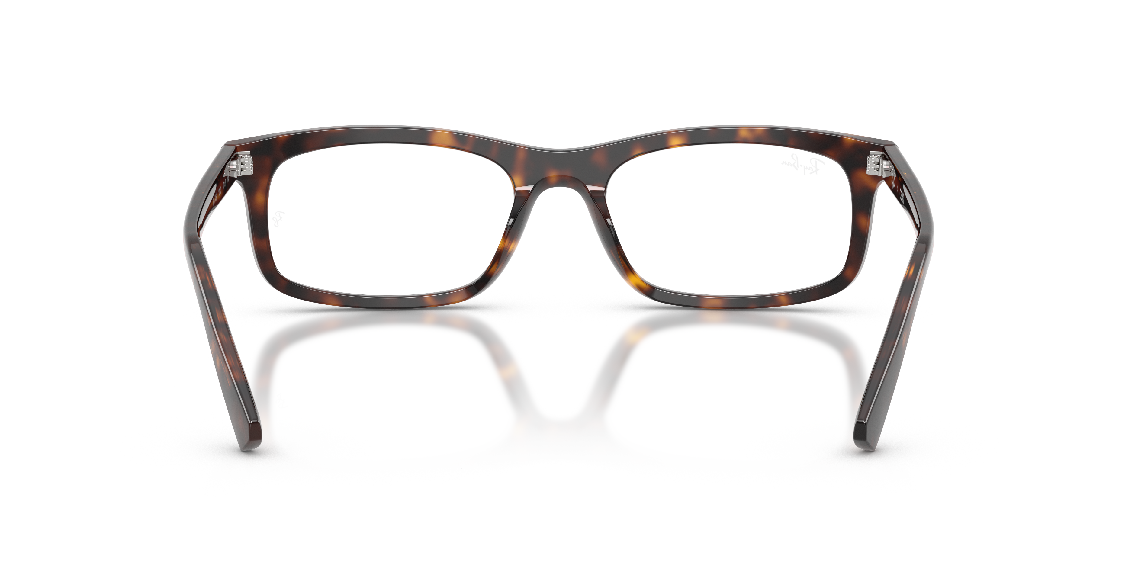 Ray-Ban RX5450 2012