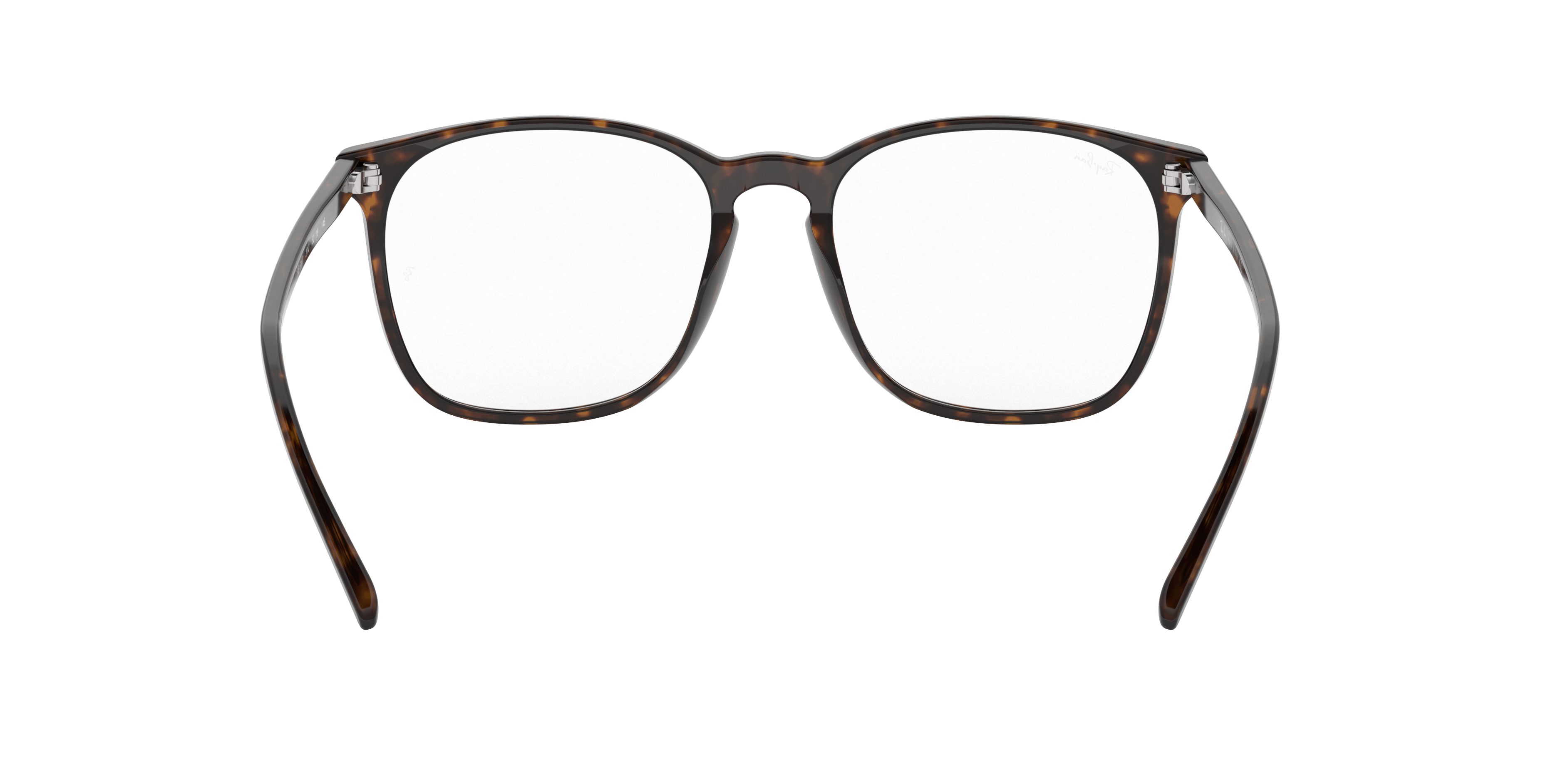 Ray-Ban RX5387 2012