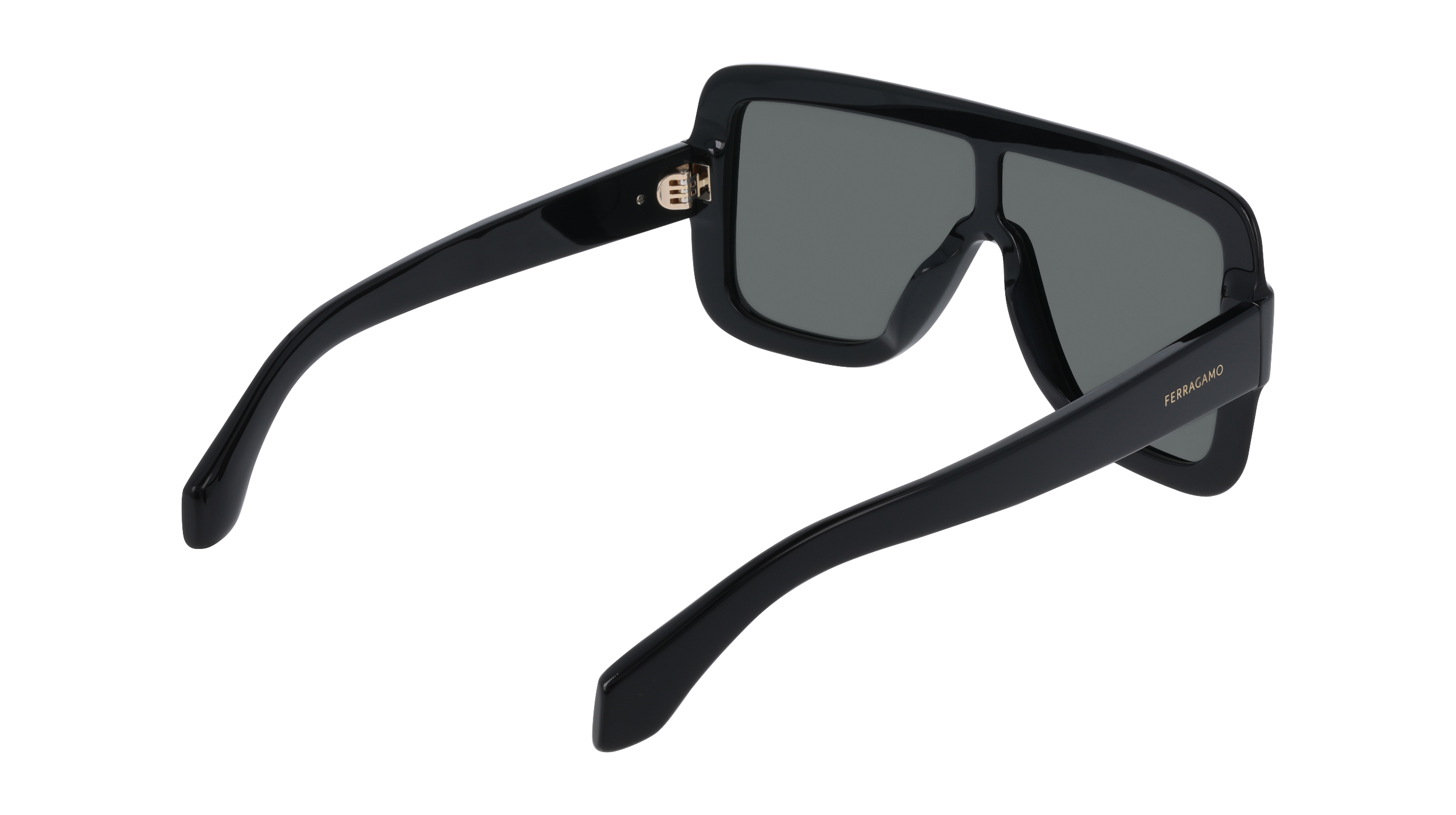 Ferragamo SF2061SE 1