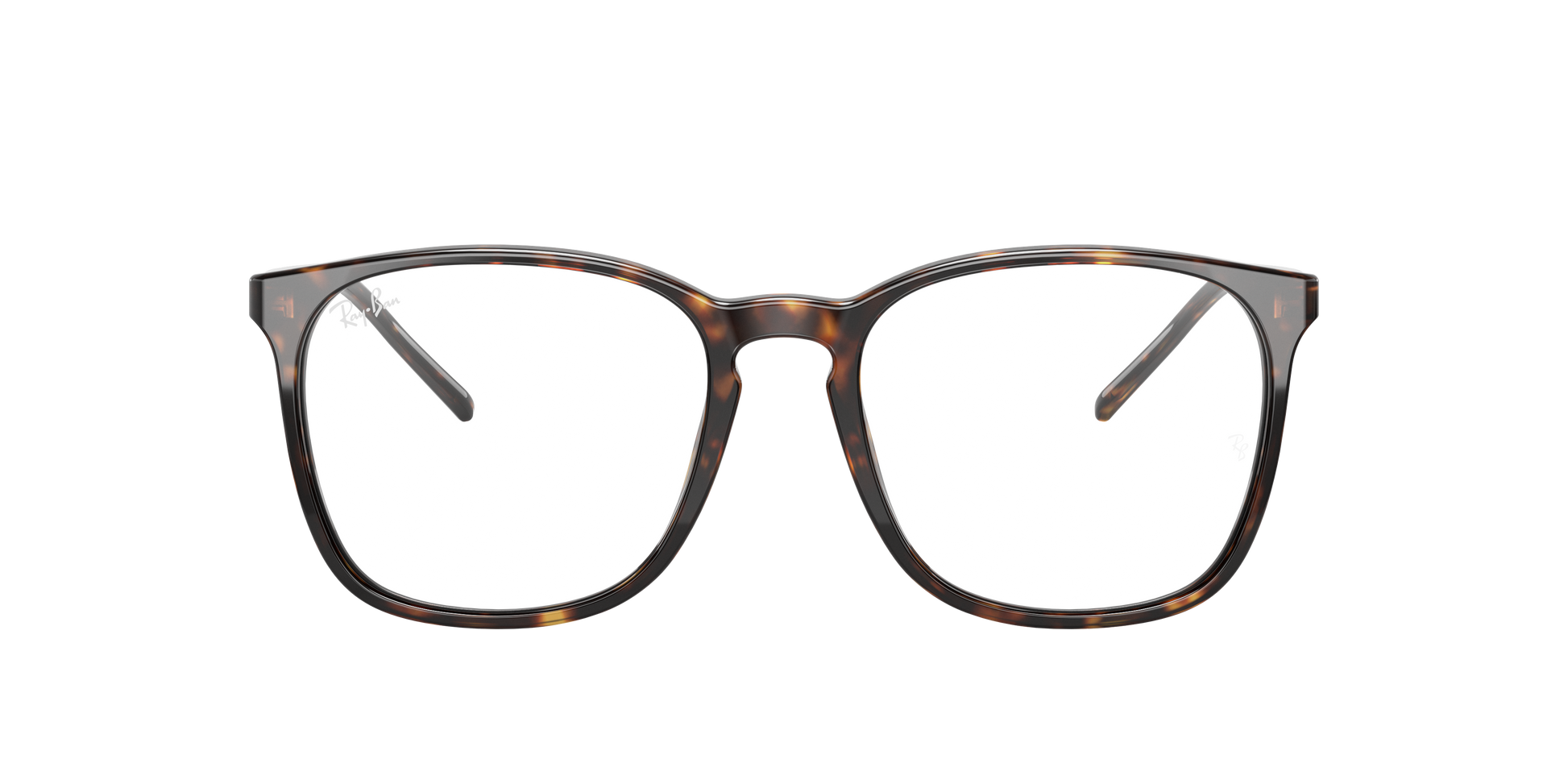Ray-Ban RX5387 2012