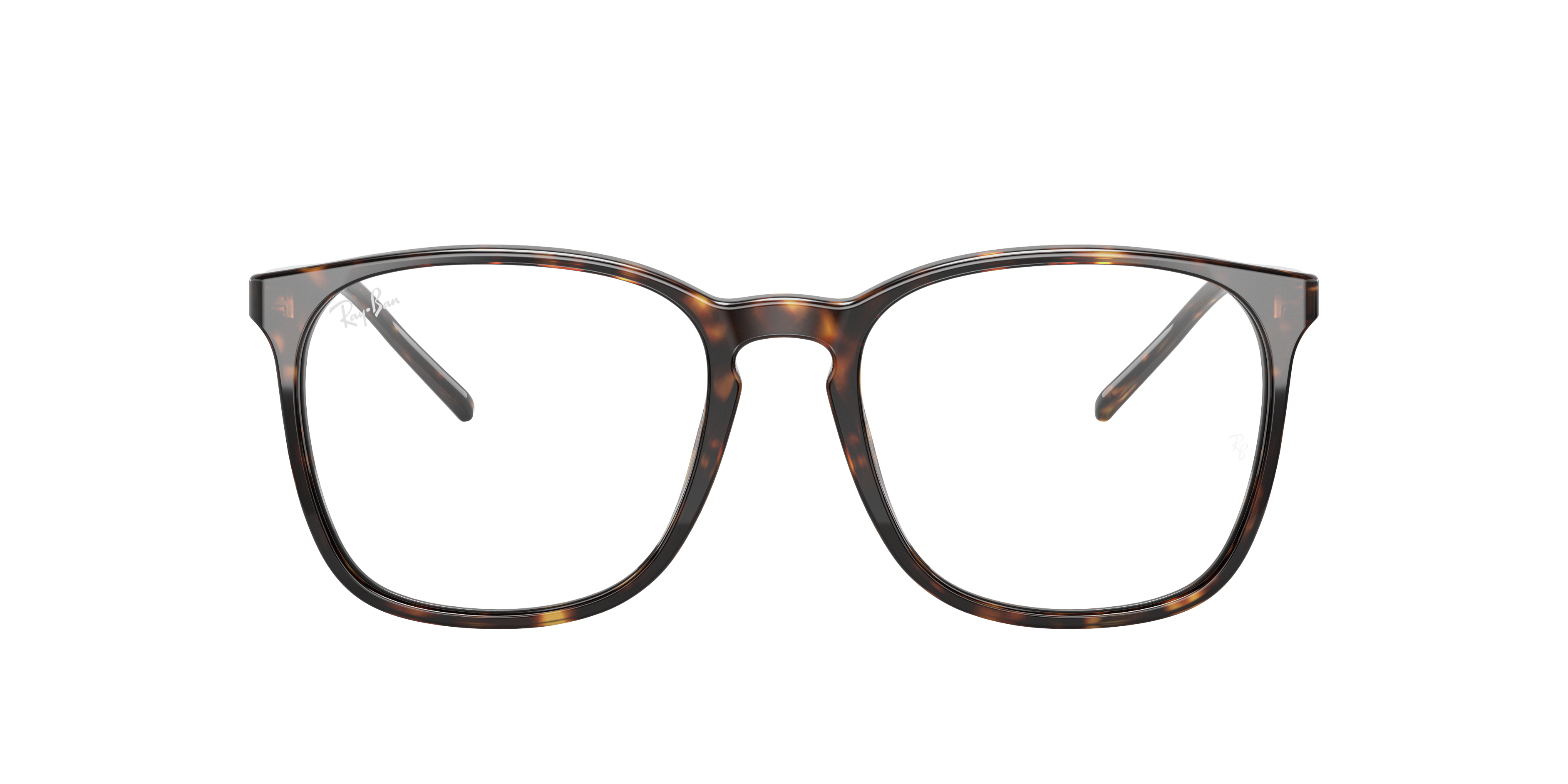 Ray-Ban RX5387 2012