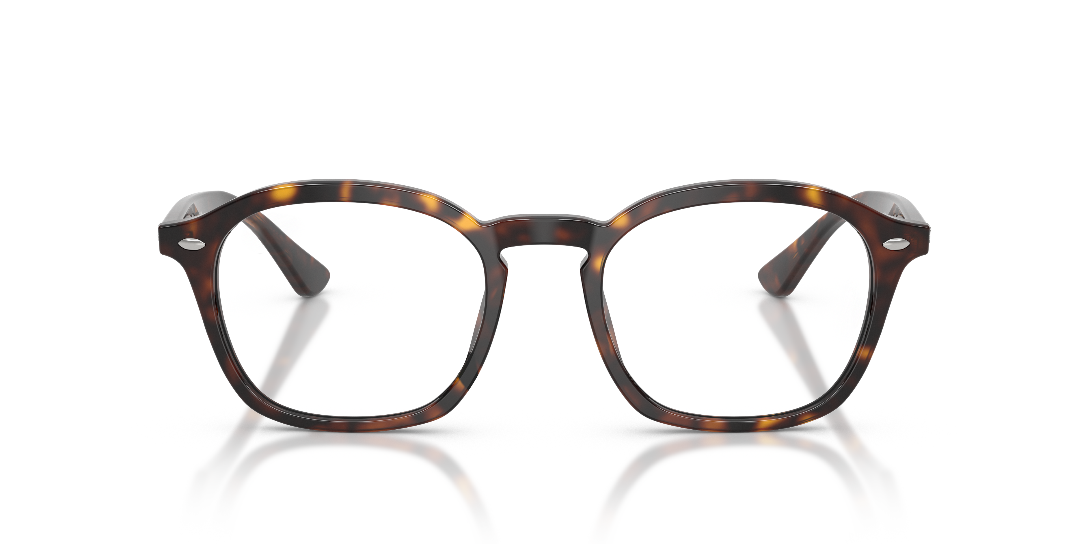 Ray-Ban RX5451 2012