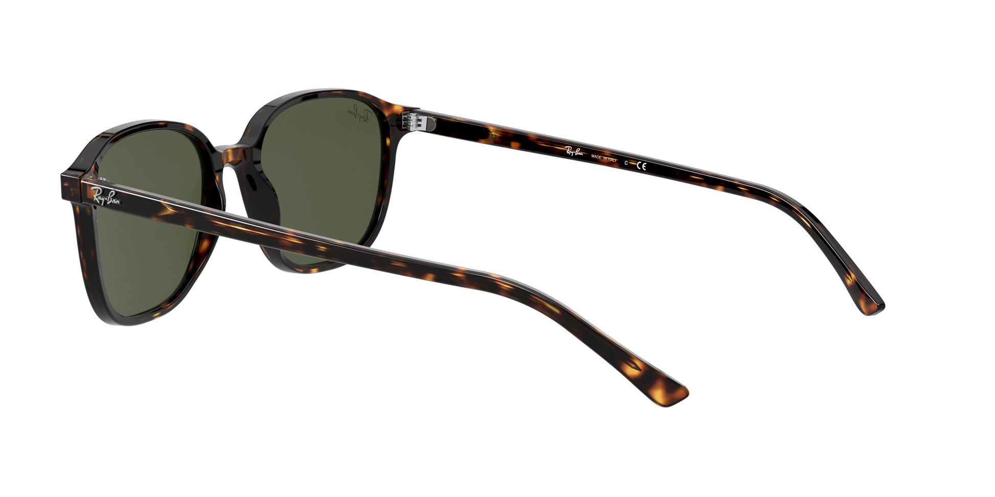 Ray-Ban RB2193 LEONARD 902/31
