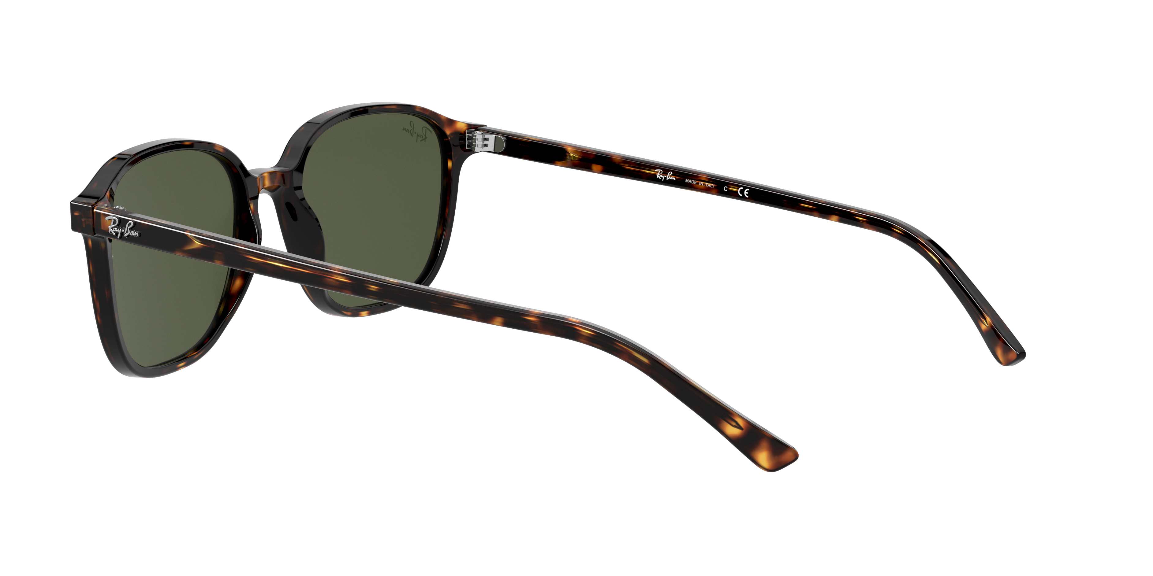 Ray-Ban RB2193 LEONARD 902/31