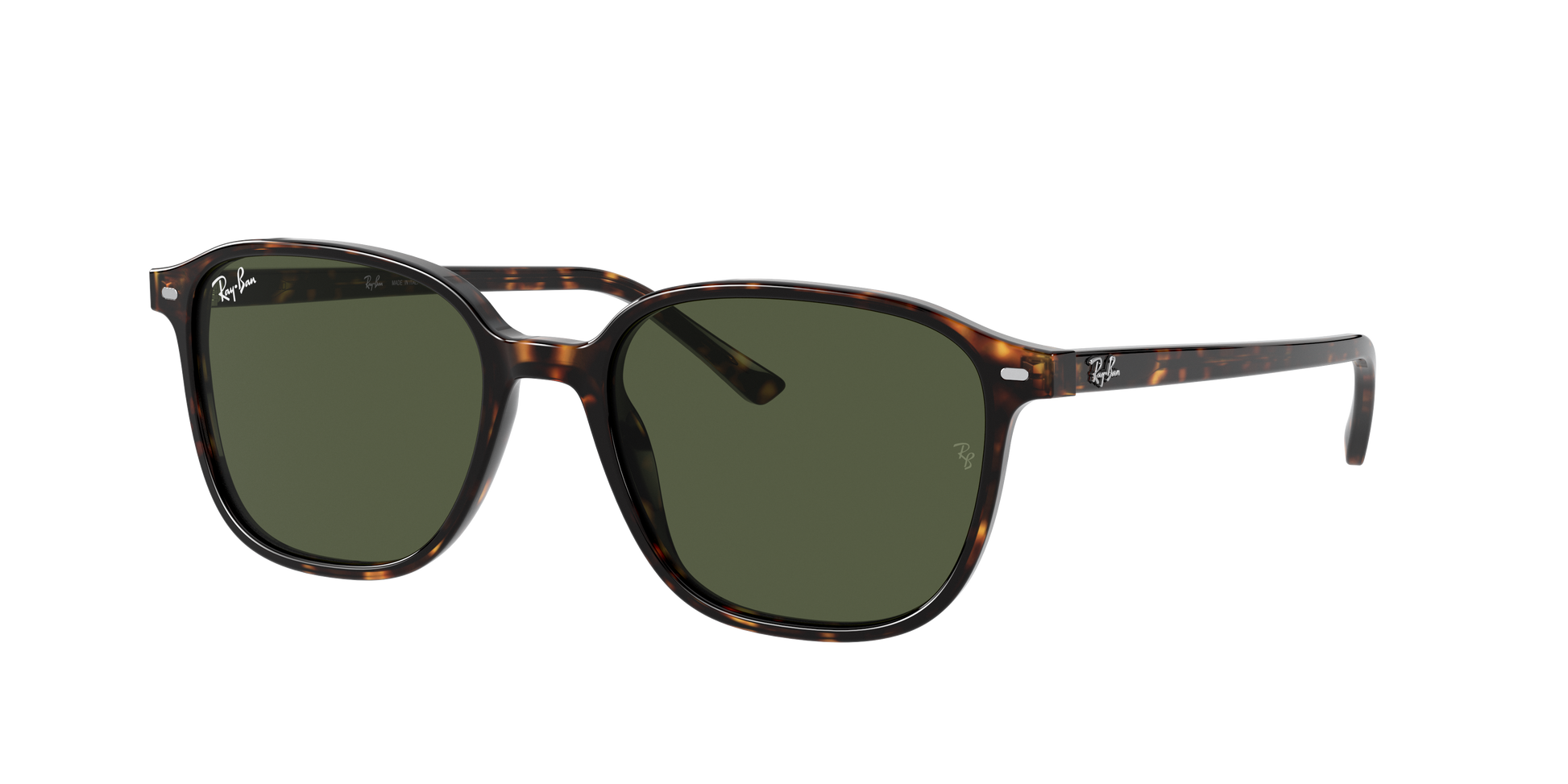 Ray-Ban RB2193 LEONARD 902/31