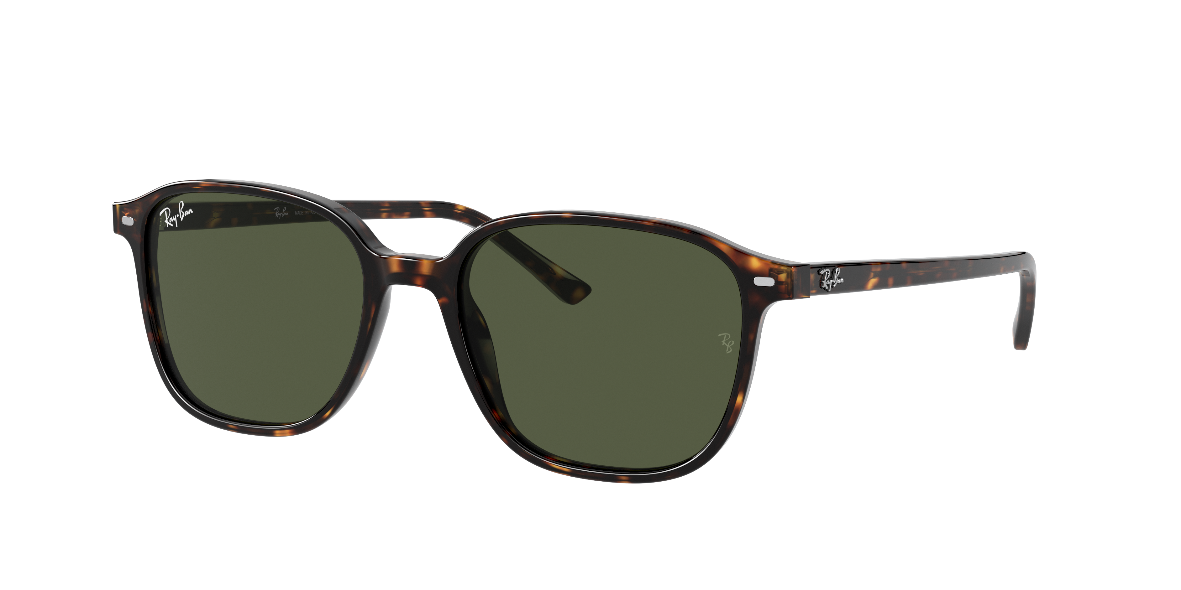 Ray-Ban RB2193 LEONARD 902/31
