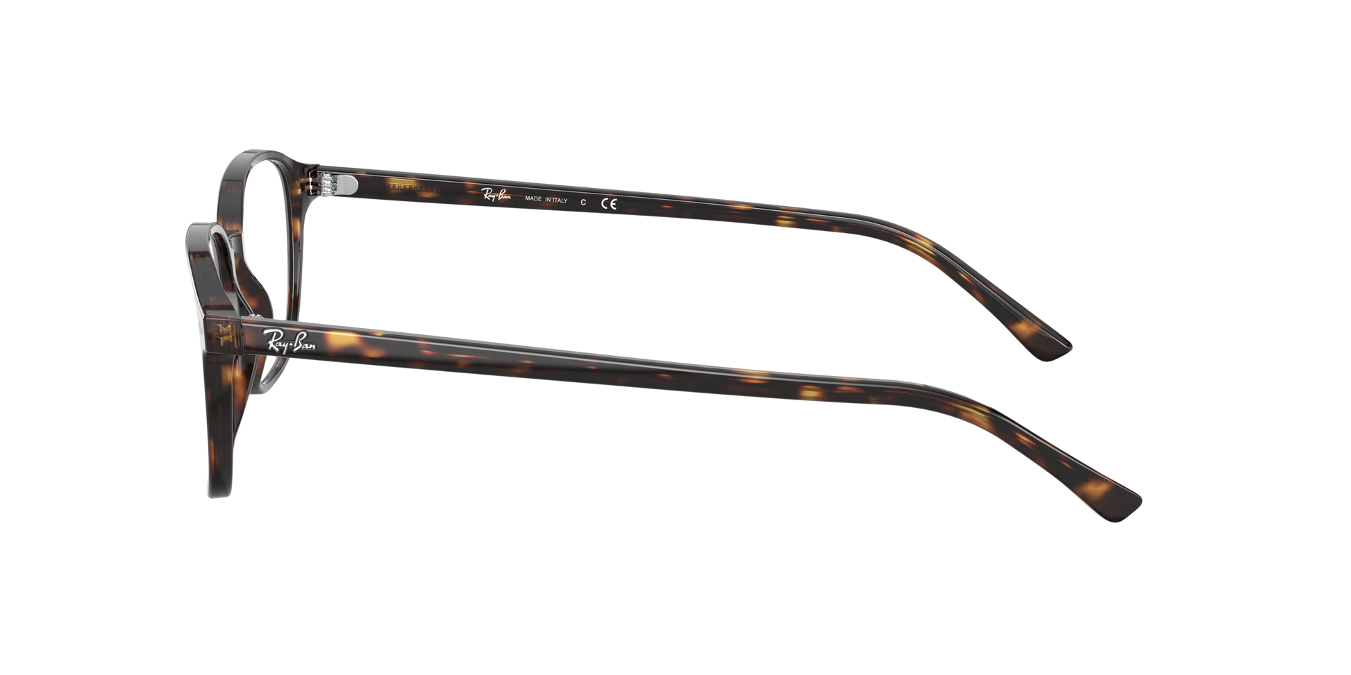 Ray-Ban RX5393 LEONARD 2012