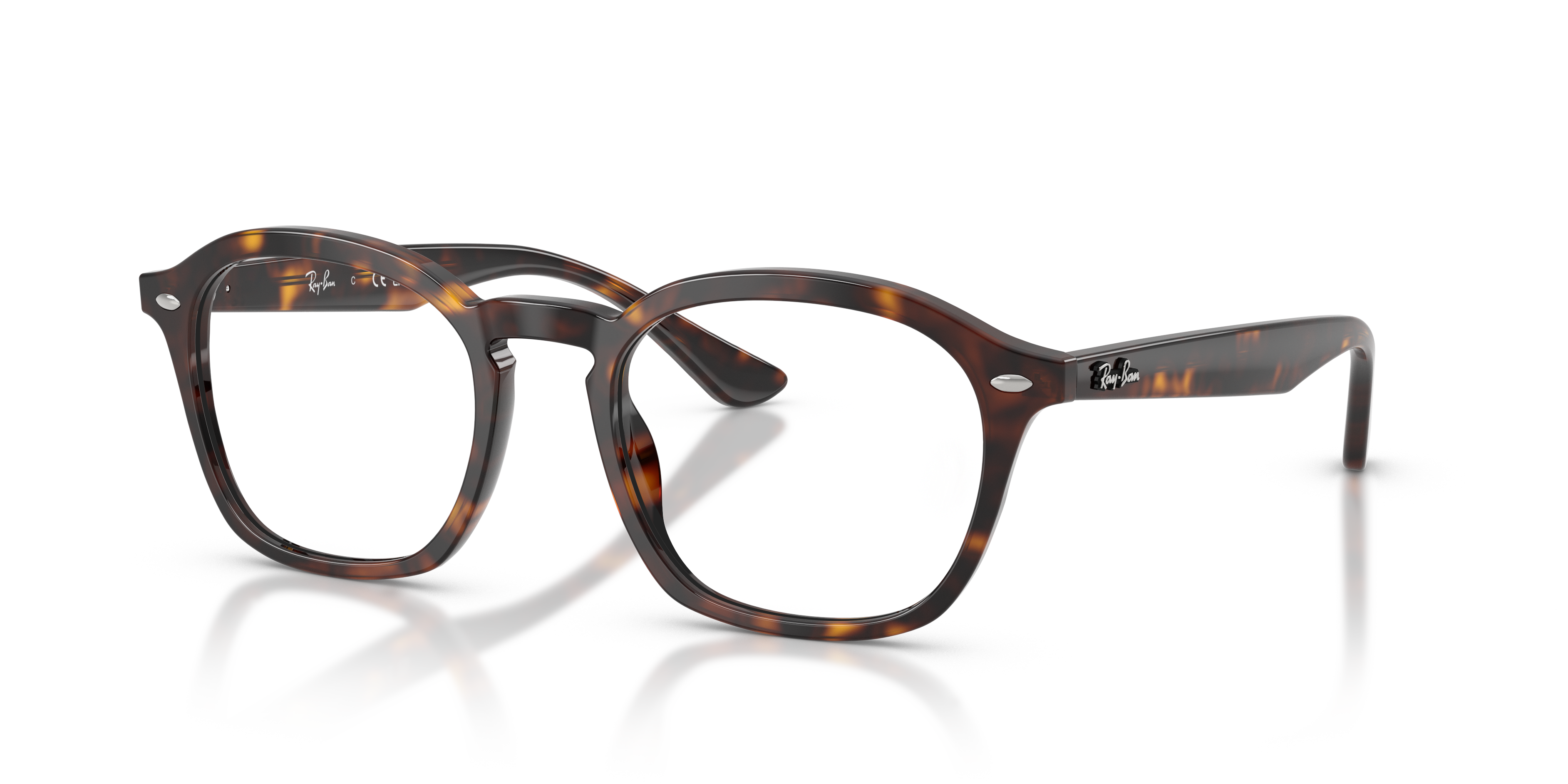 Ray-Ban RX5451 2012