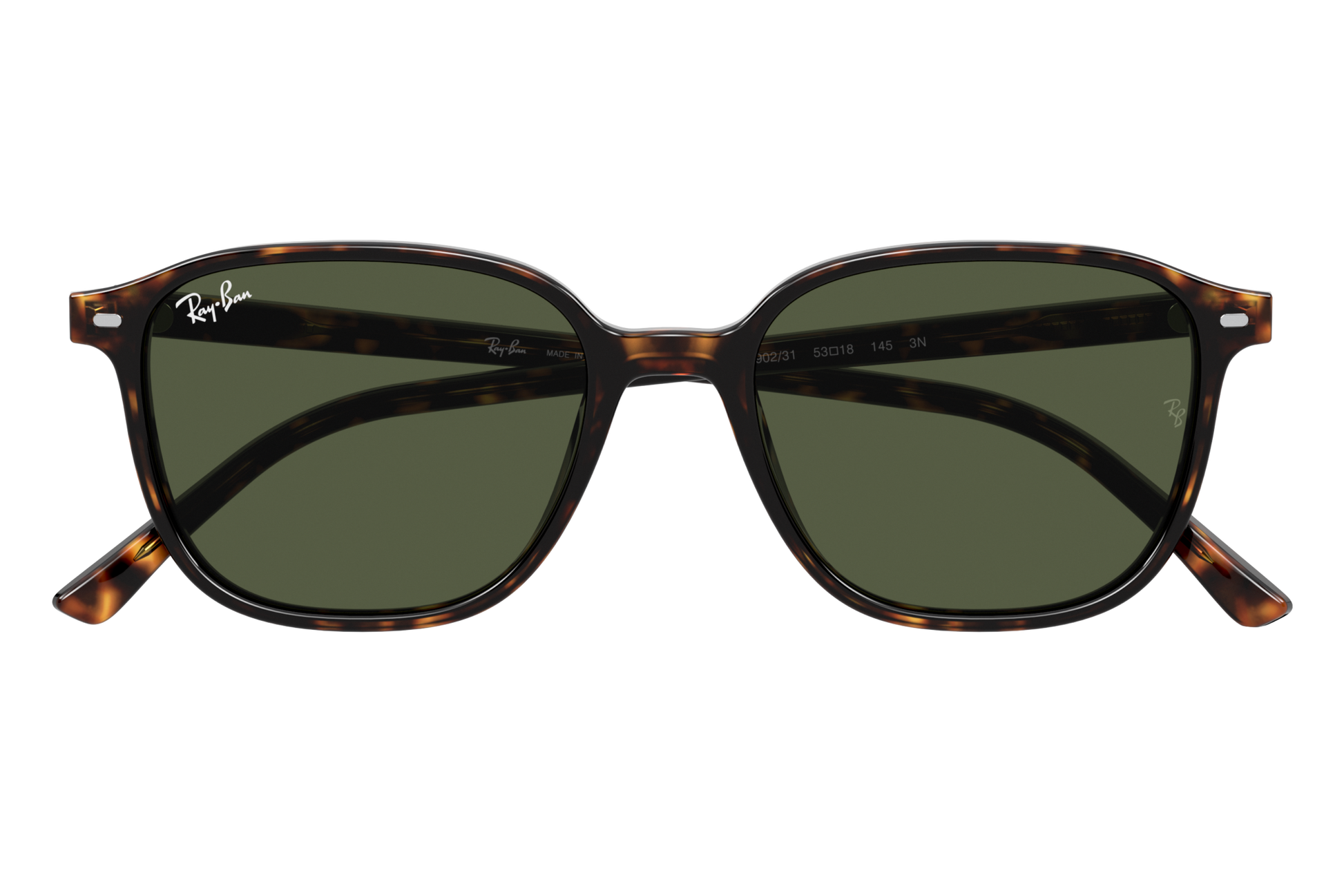 Ray-Ban RB2193 LEONARD 902/31