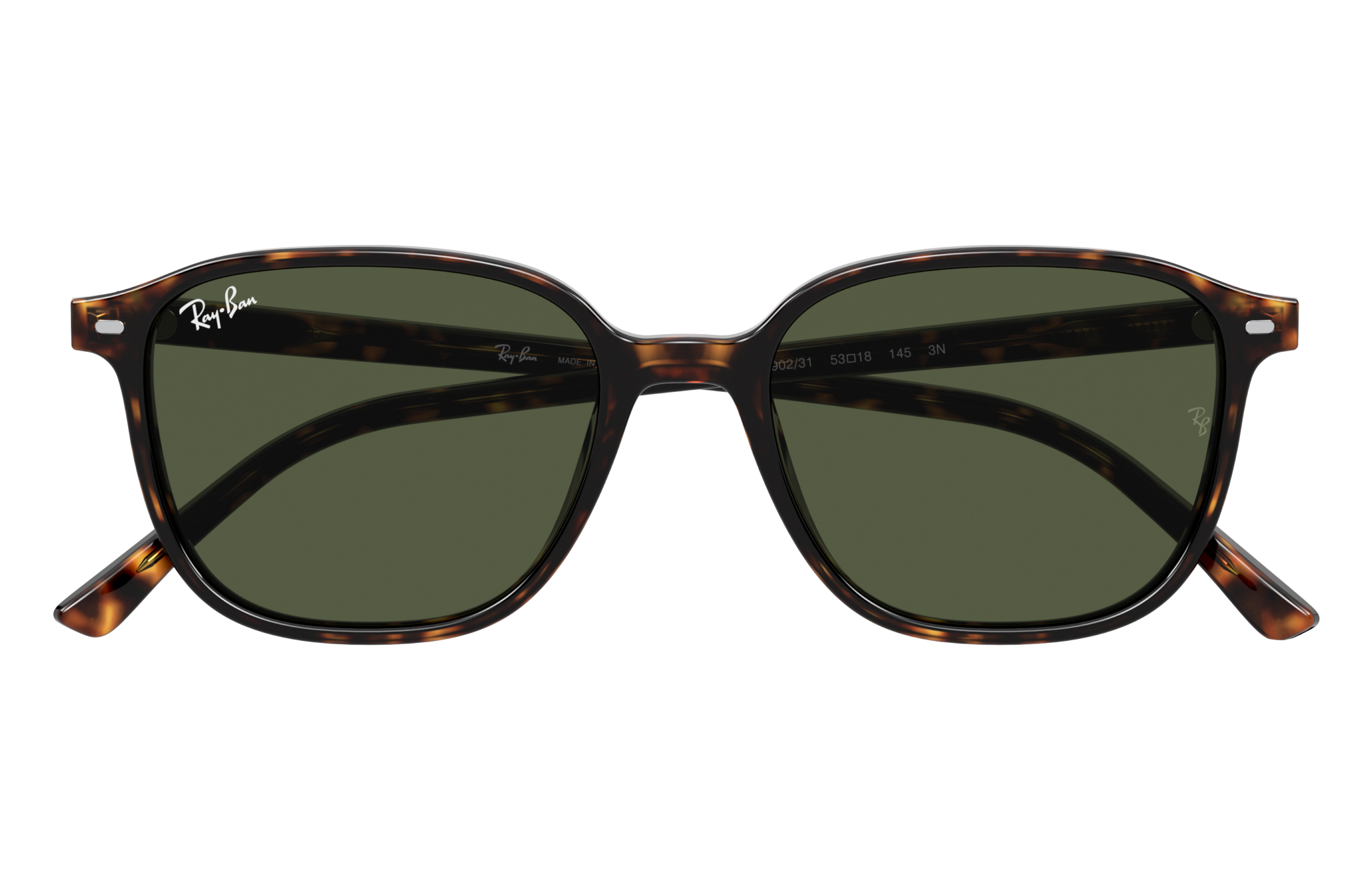 Ray-Ban RB2193 LEONARD 902/31