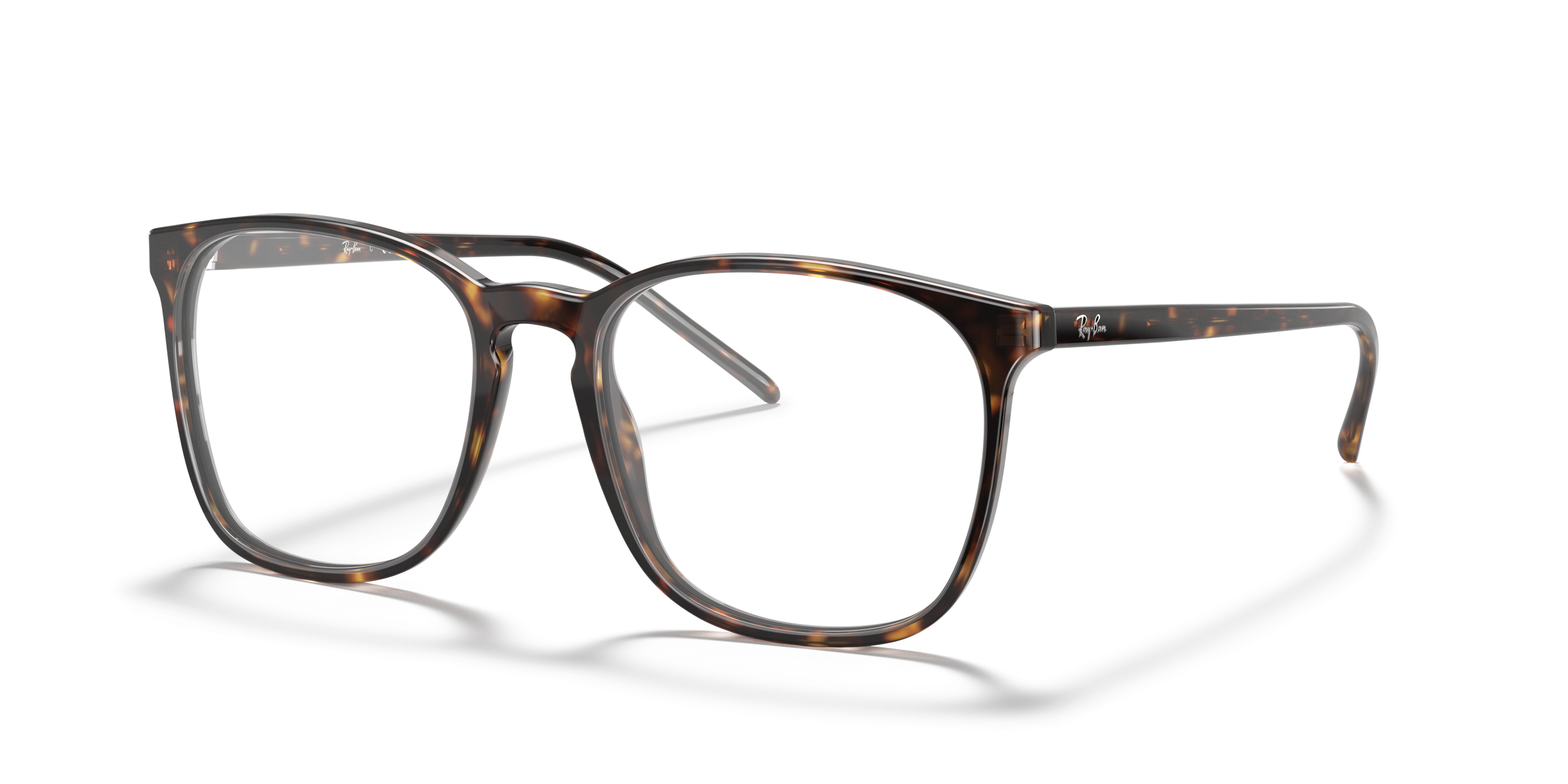 Ray-Ban RX5387 2012