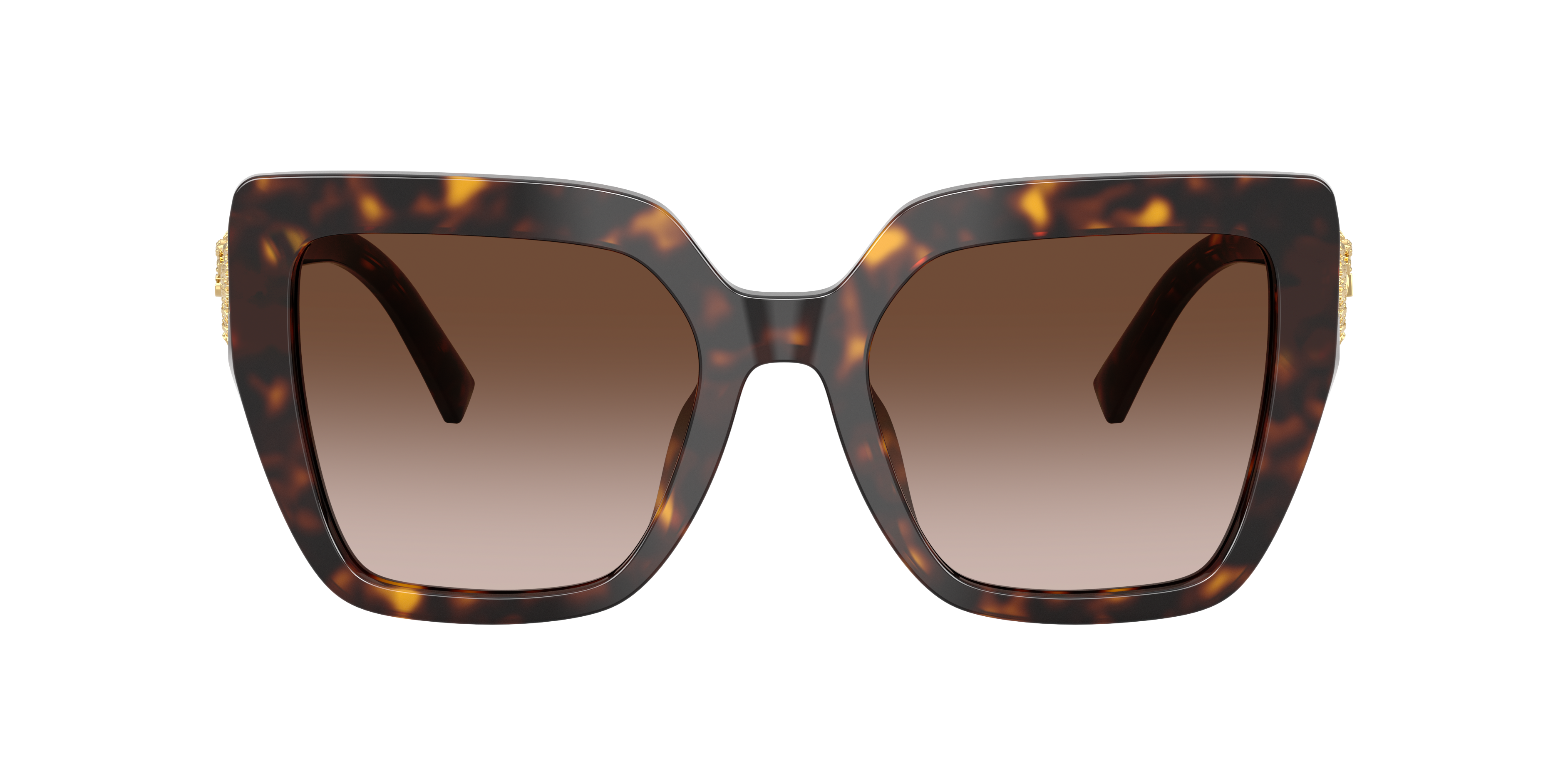 Dolce & Gabbana DG4538 502/13