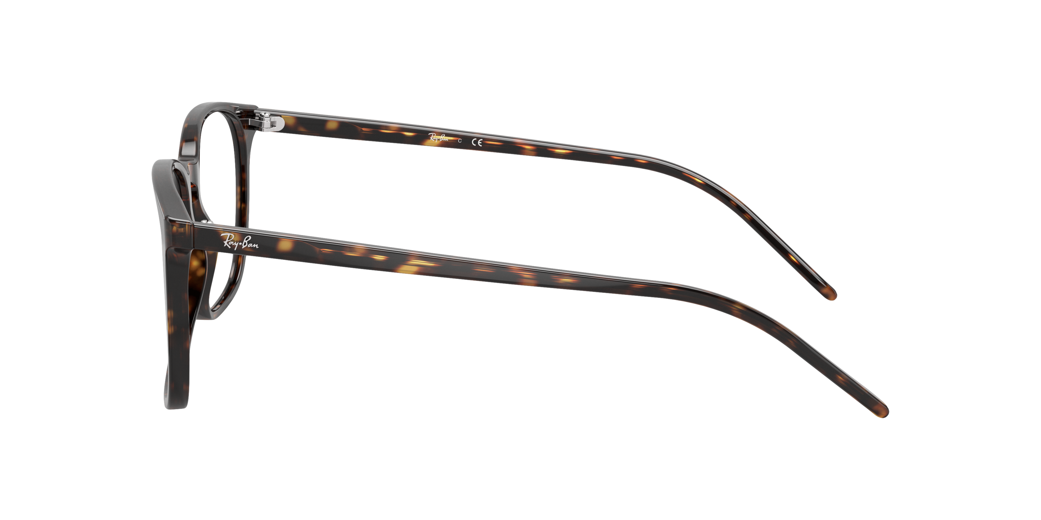 Ray-Ban RX5387 2012